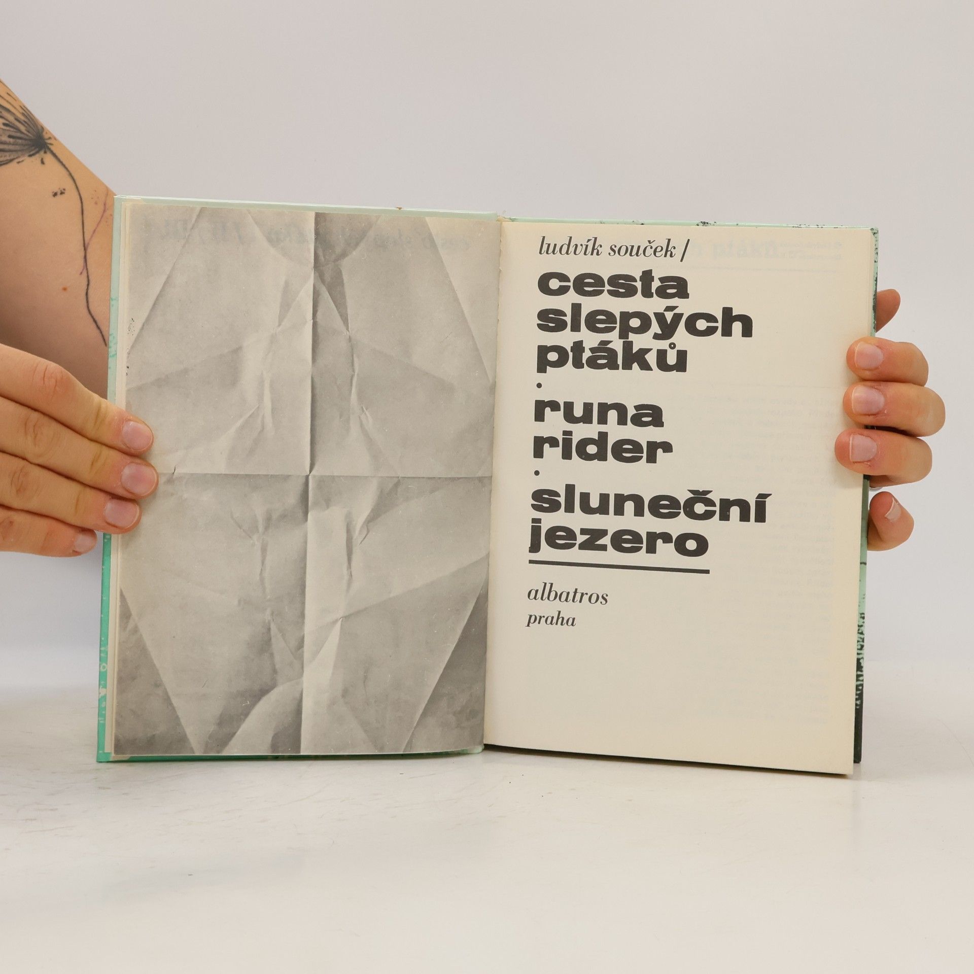 Ludvík Souček Cesta slepých ptáků. Runa rider. Sluneční jezero