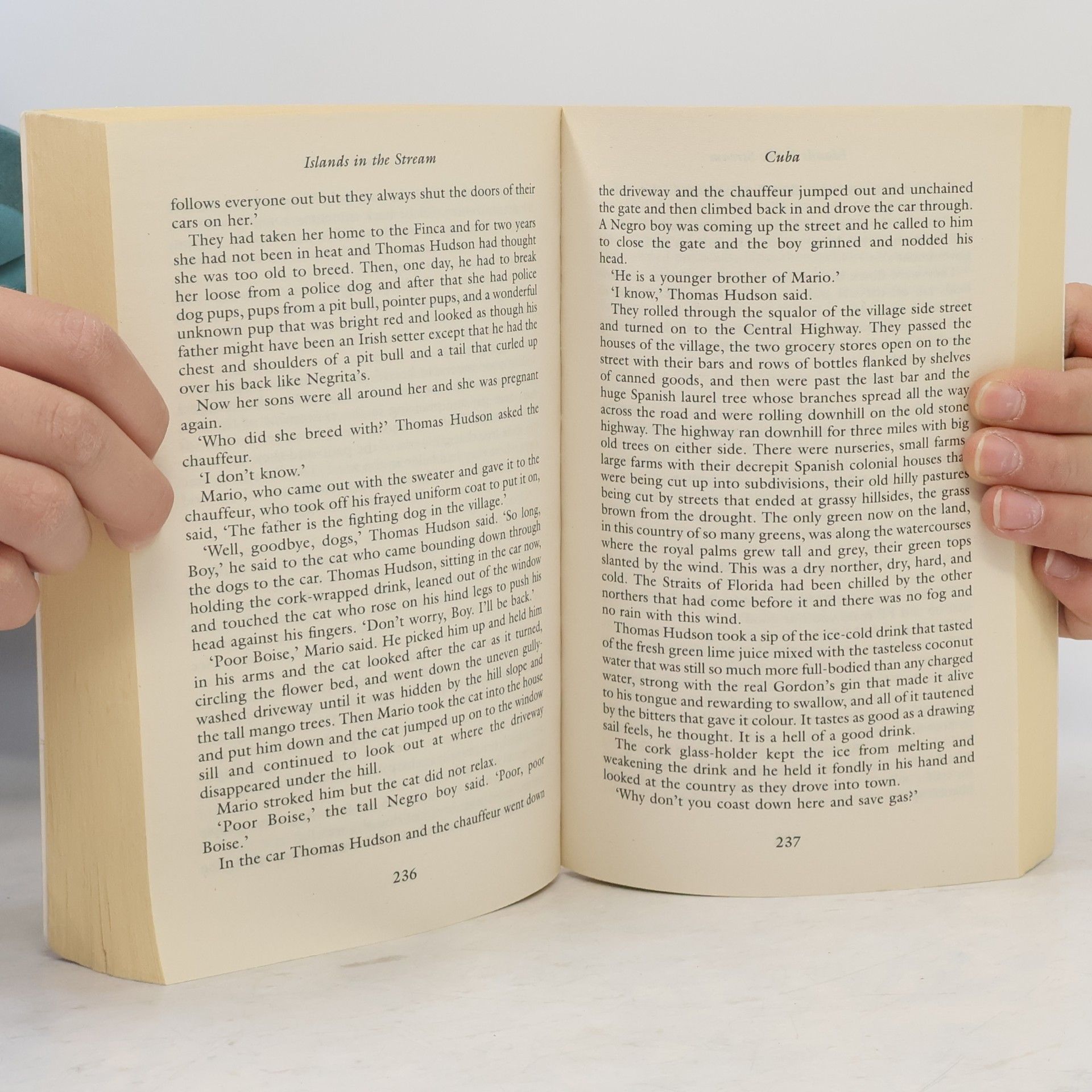 Ernest Hemingway Islands in the Stream