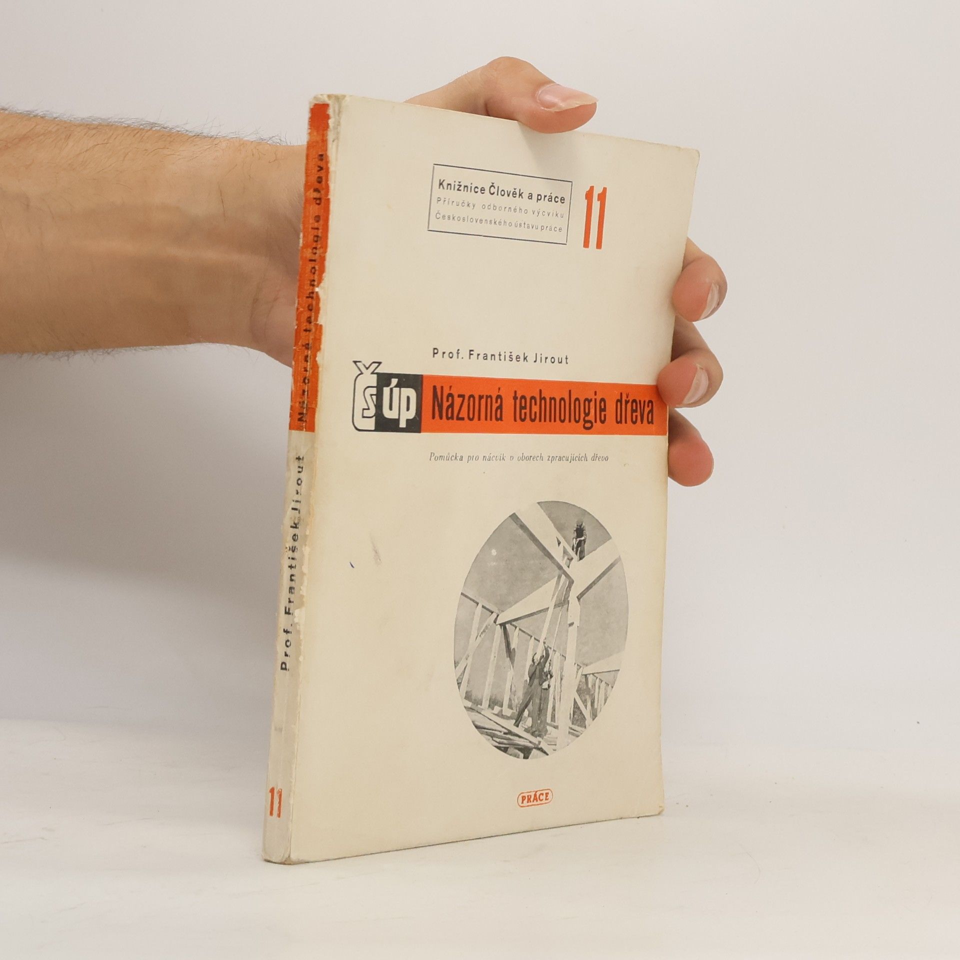 František Jirout Názorná technologie dřeva : pomůcka pro odb. výcvik v oborech zprac. dřevo