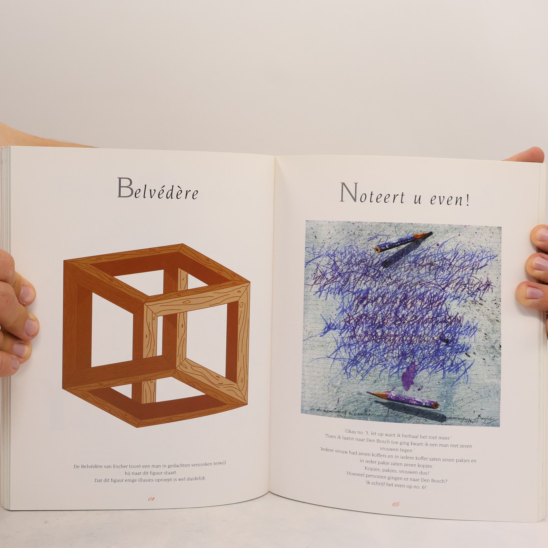 Jack Botermans Optische illusies en andere puzzels