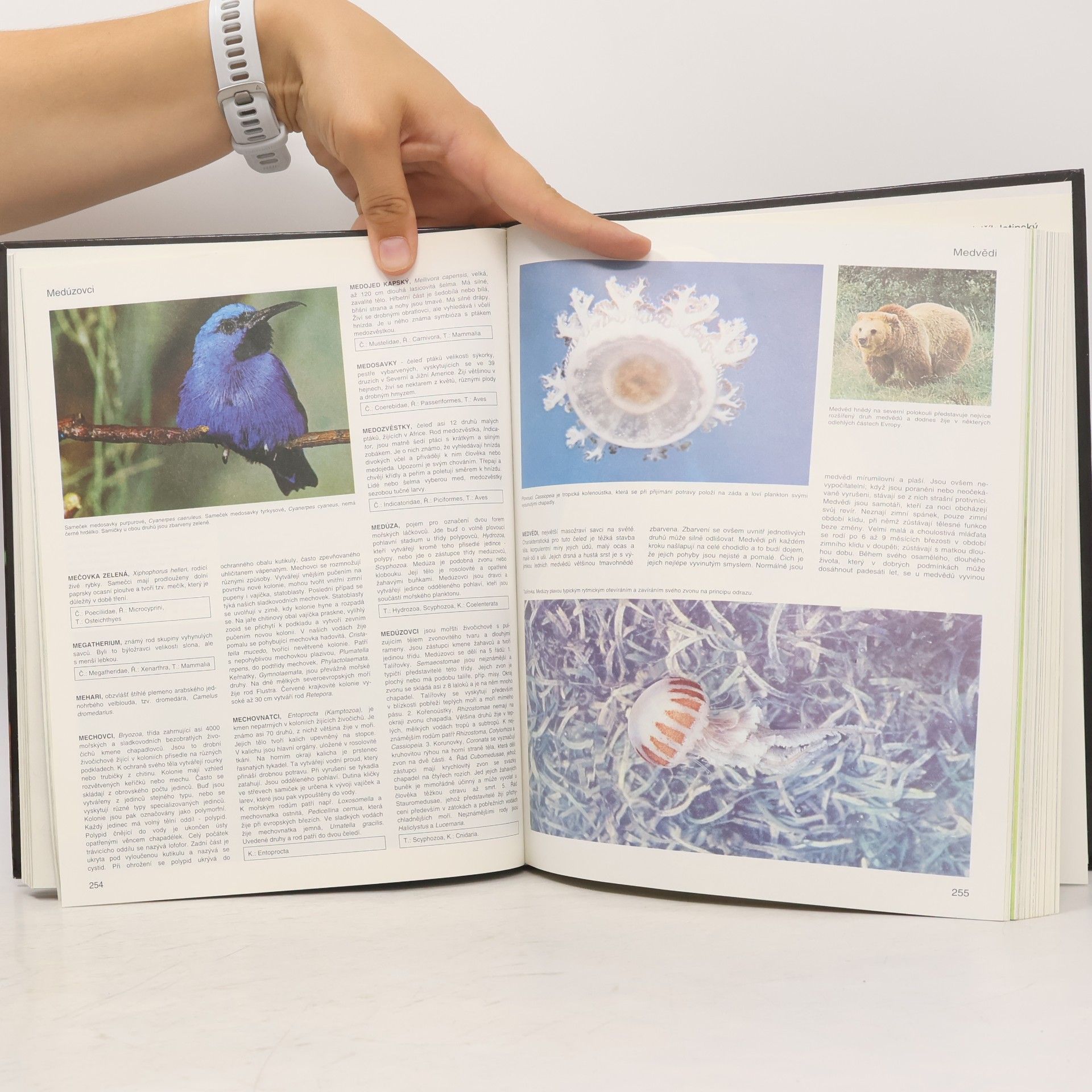 Autores varios Encyklopedie zvířata od A do Z