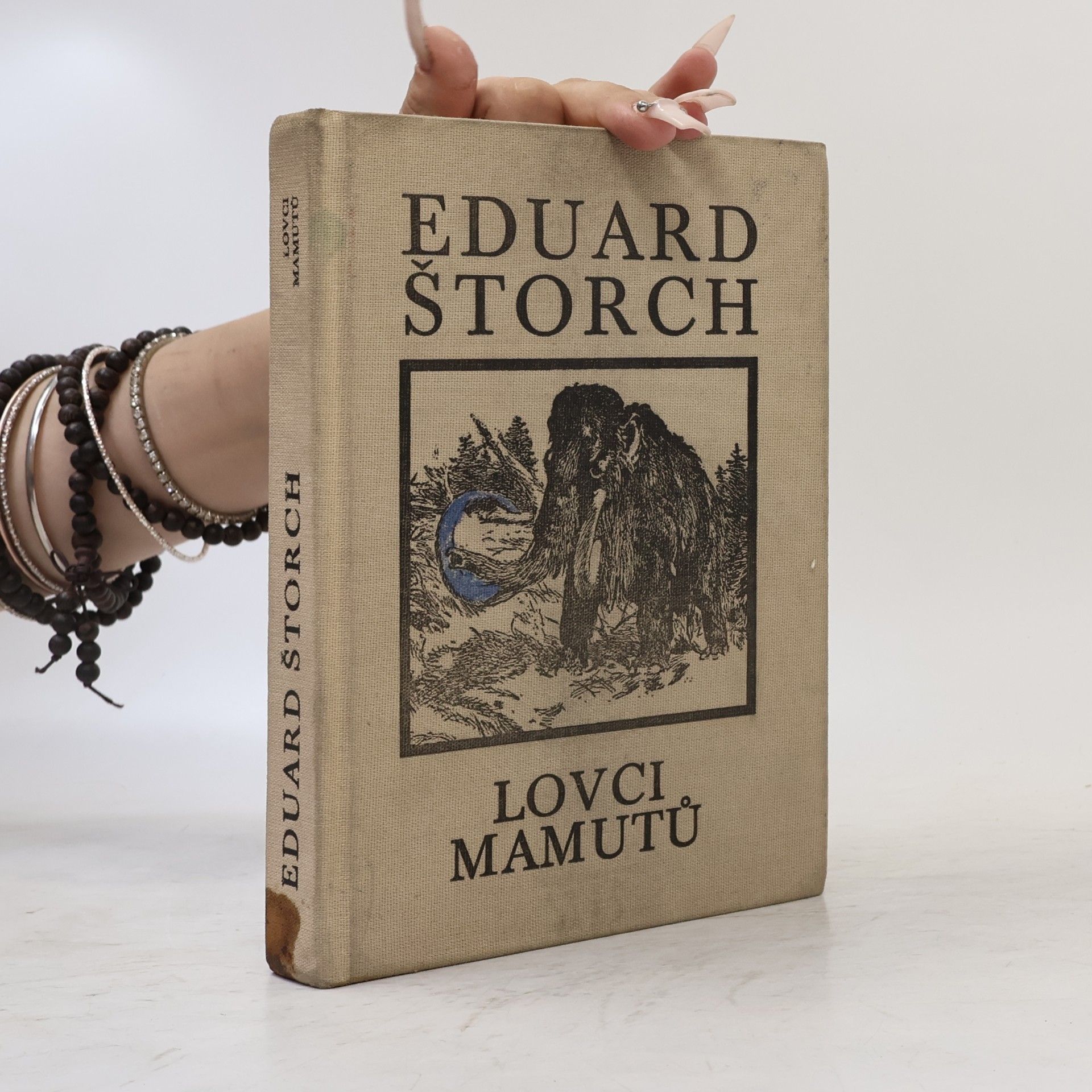 Lovci mamutů