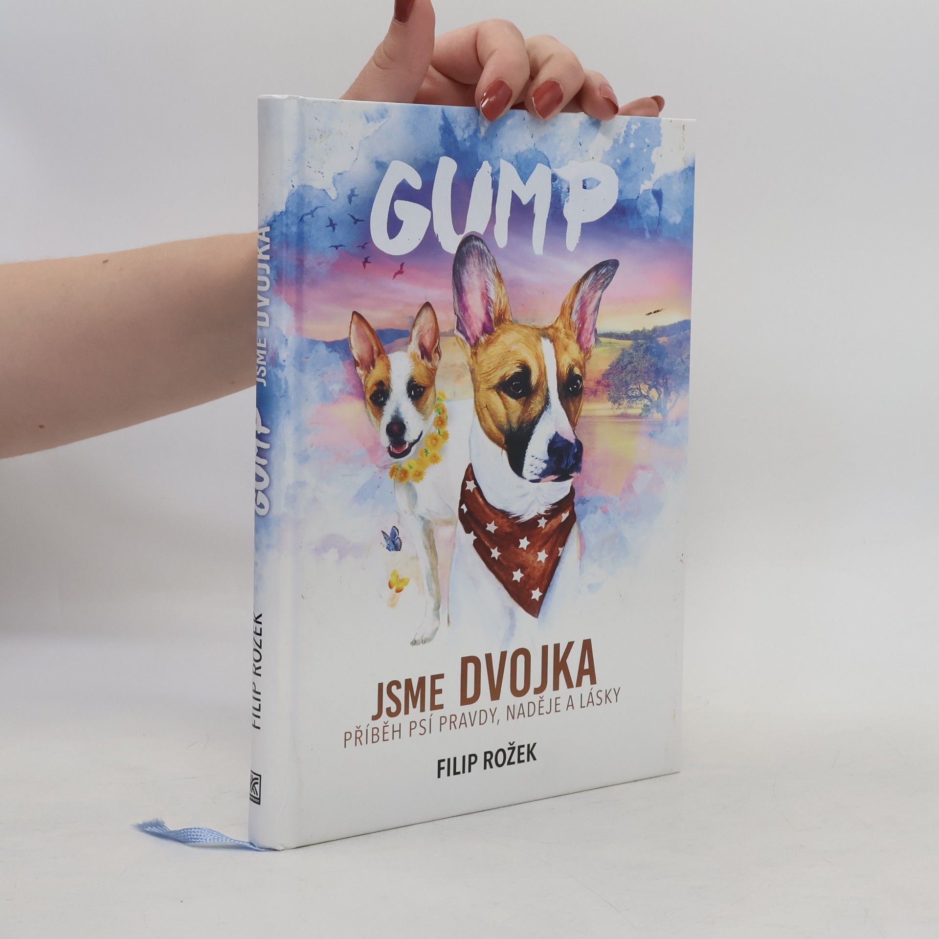 Filip Rožek Gump jsme dvojka: Příběh psí pravdy, naděje a lásky