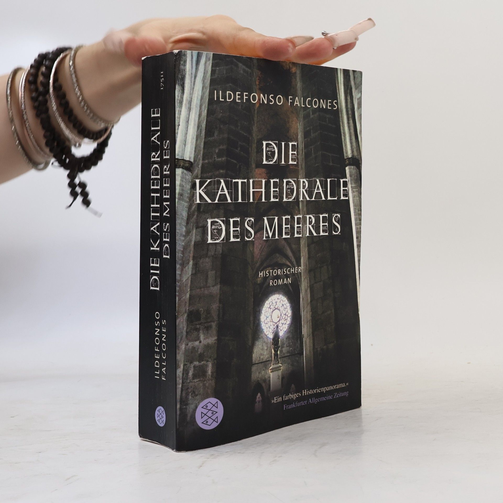 Ildefonso Falcones Die Kathedrale des Meeres
