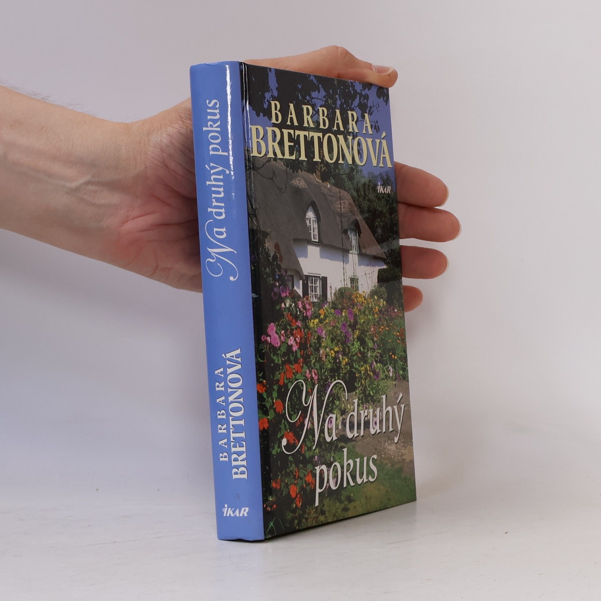 Barbara Bretton Na druhý pokus