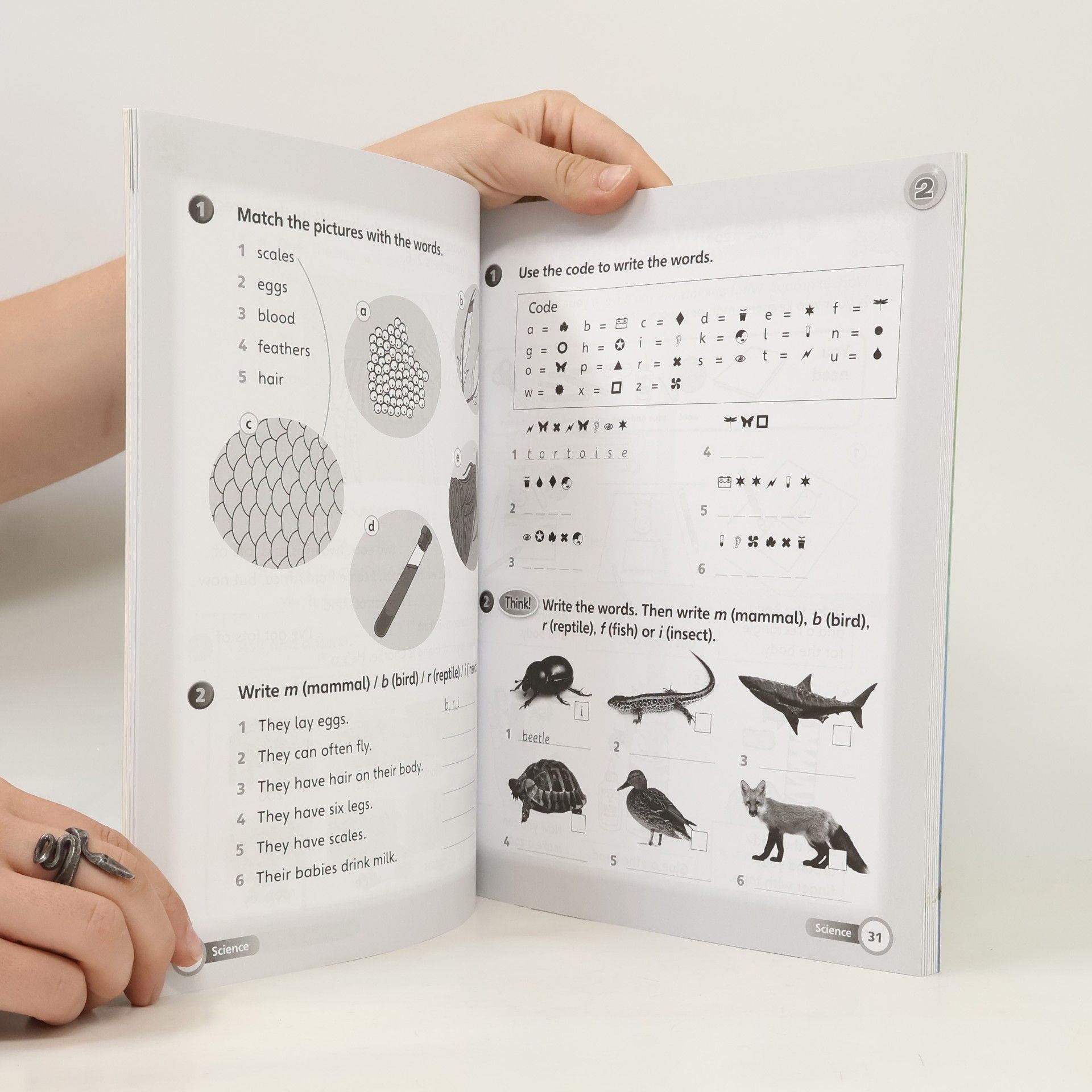 Herbert Puchta Super minds: workbook 2