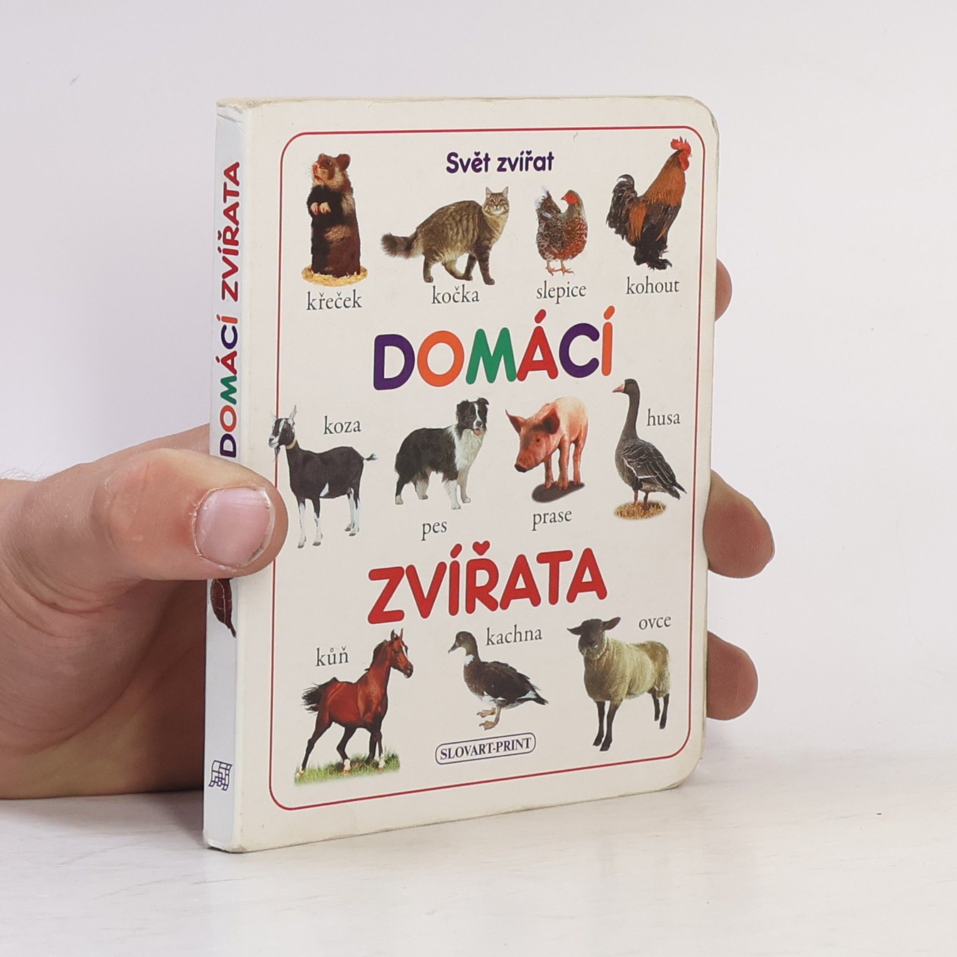 Markéta Šubotníková Domácí zvířata