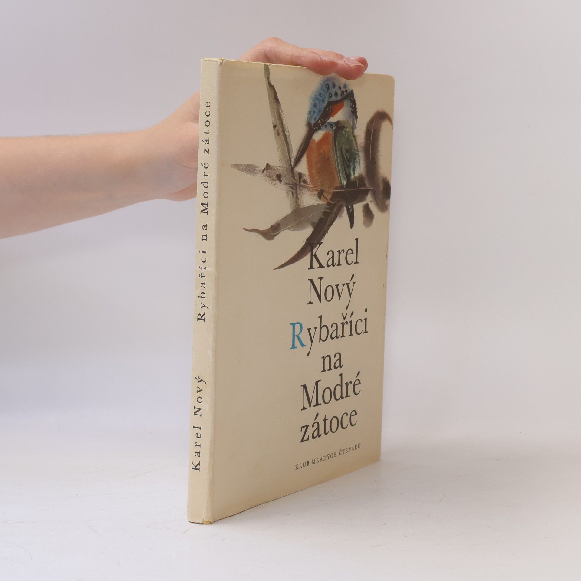 Karel Nový Rybaříci na Modré zátoce