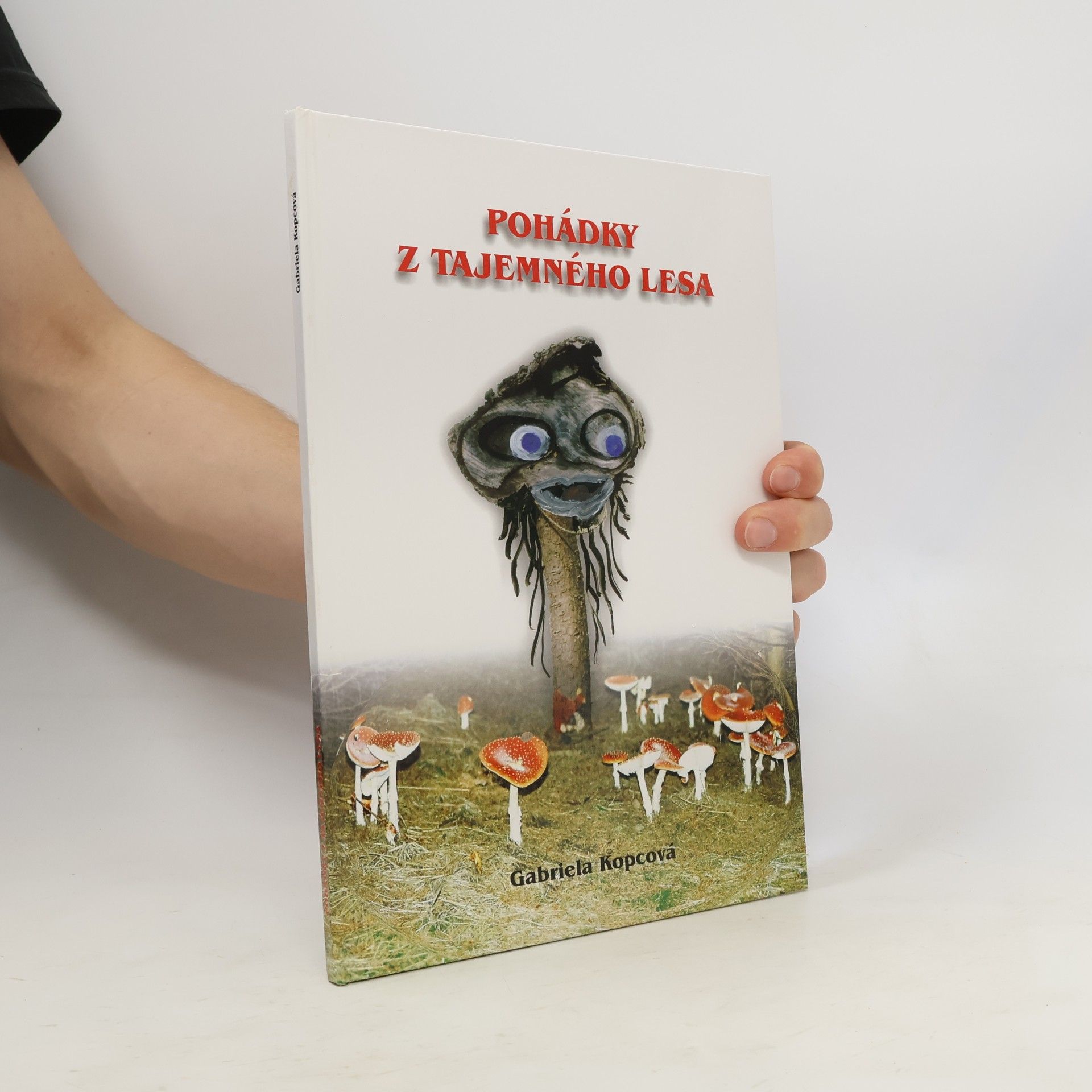 Gabriela Kopcová Pohádky z tajemného lesa