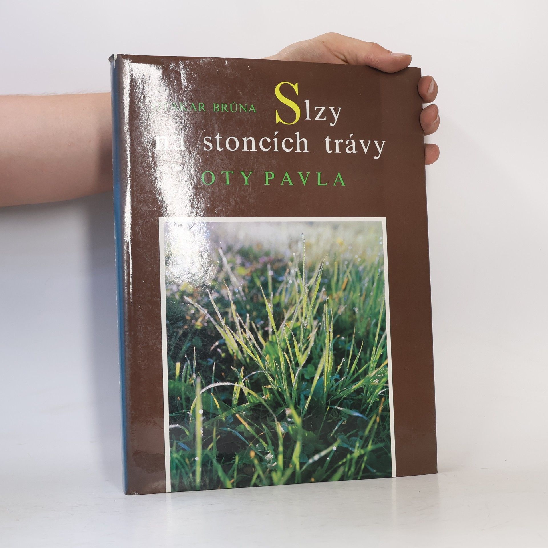 Slzy na stoncích trávy Oty Pavla