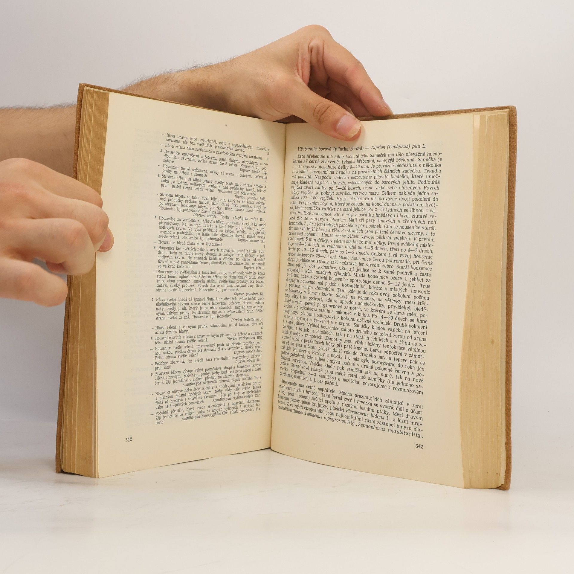 Antonín Pfeffer Lesnická zoologie II.