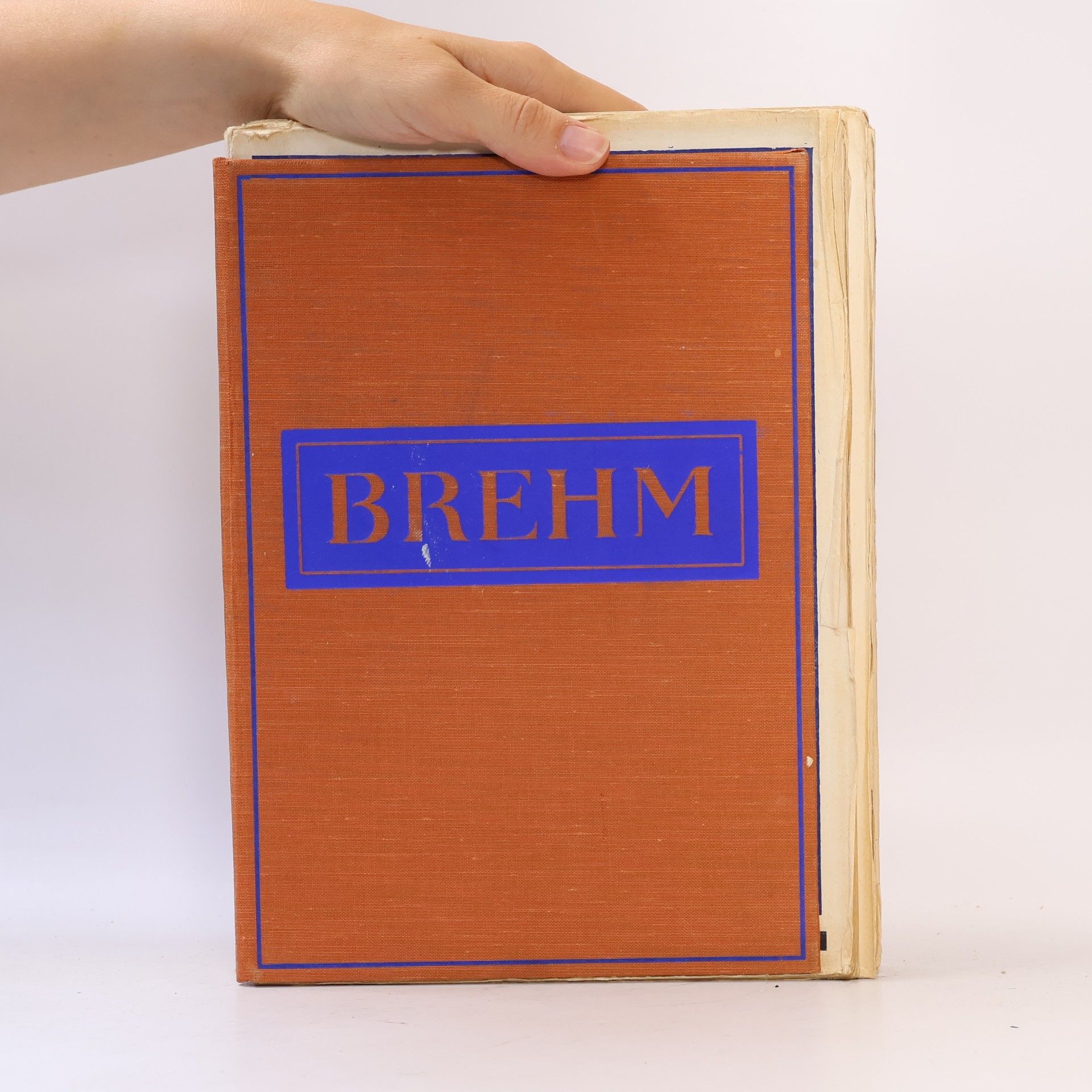 Alfred Edmund Brehm Brehmův život zvířat II., svazek 2