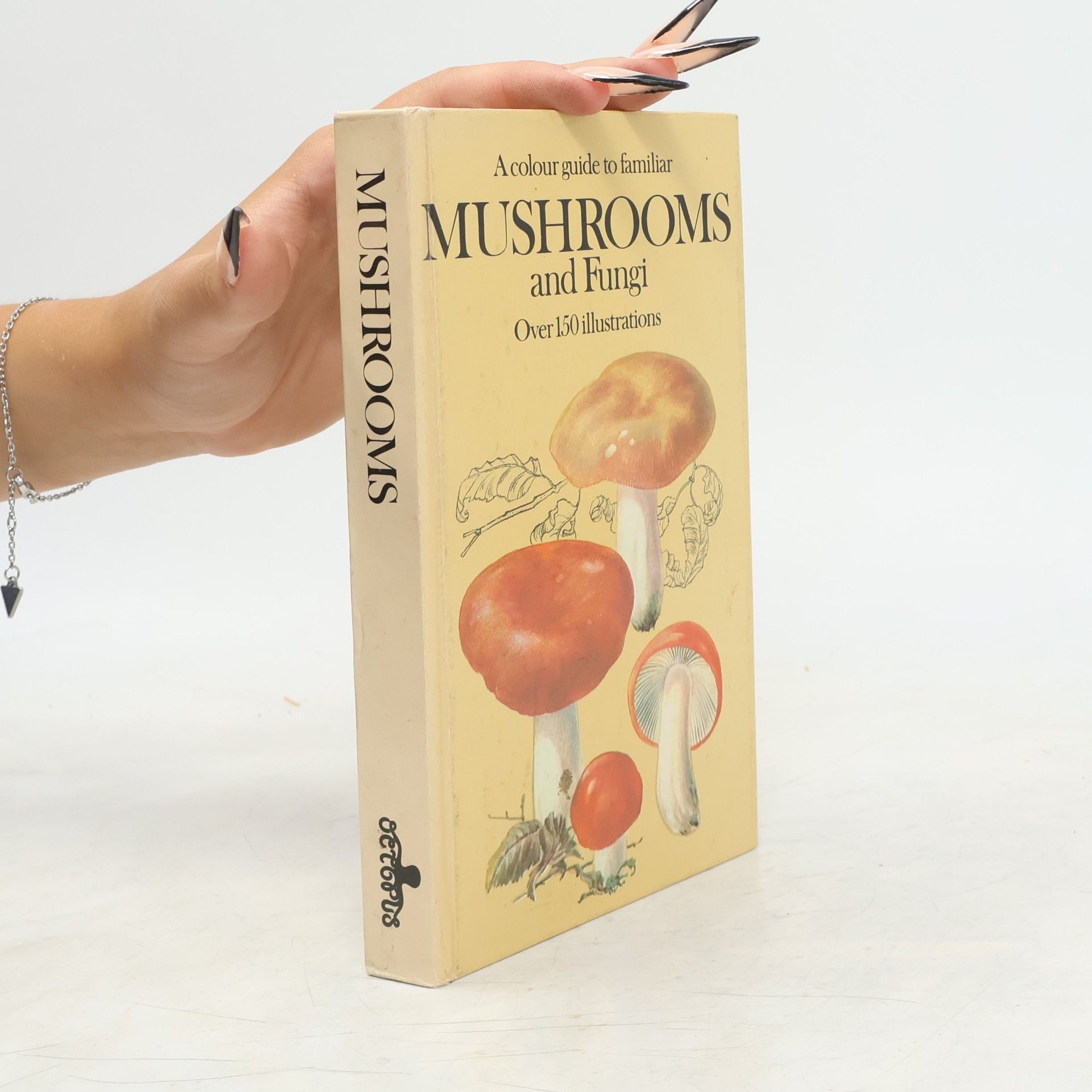 Kolektív autorov Mushrooms and Fungi