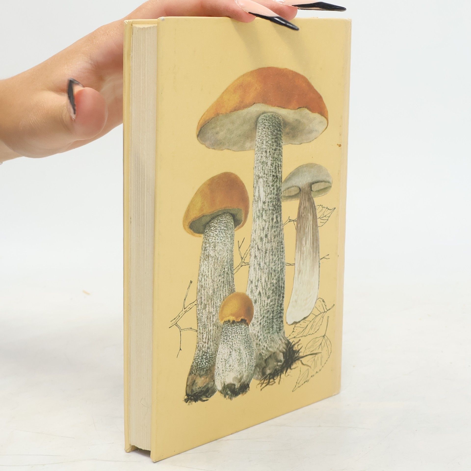 Various authors Mushrooms and Fungi