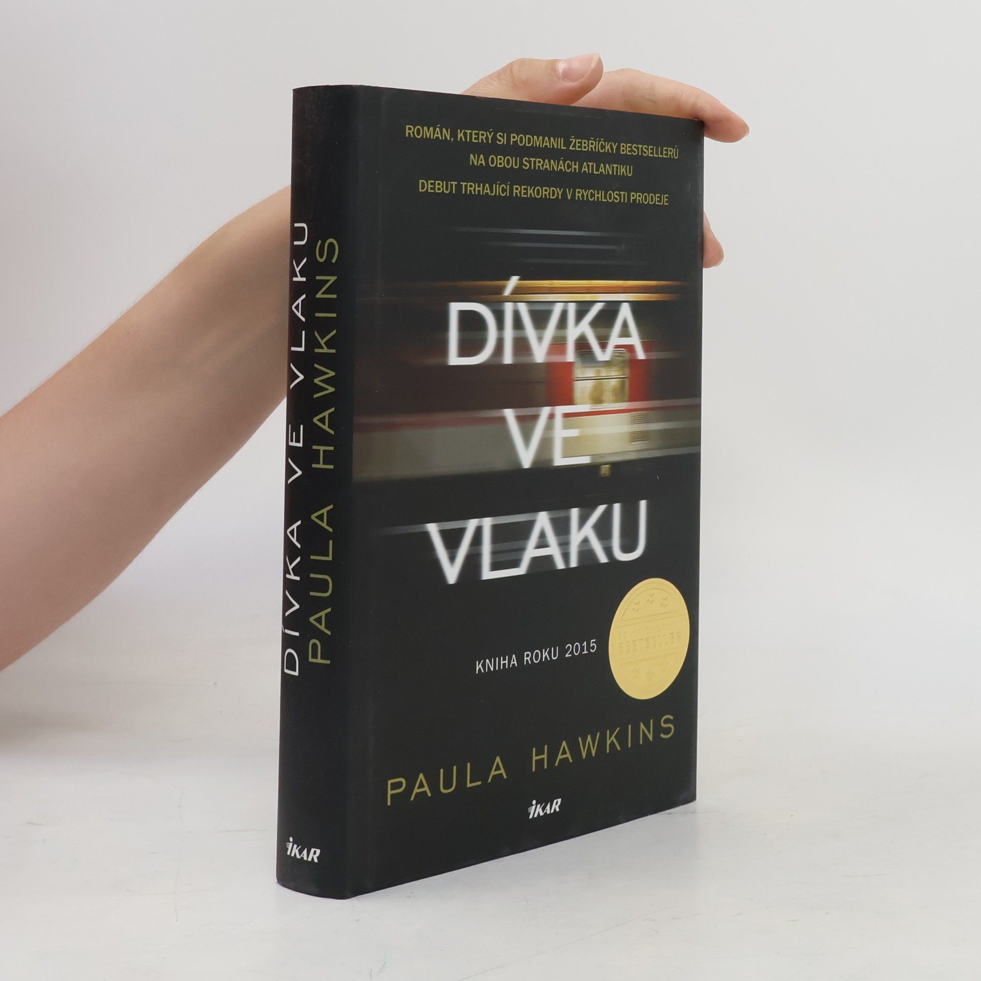 Dívka ve vlaku