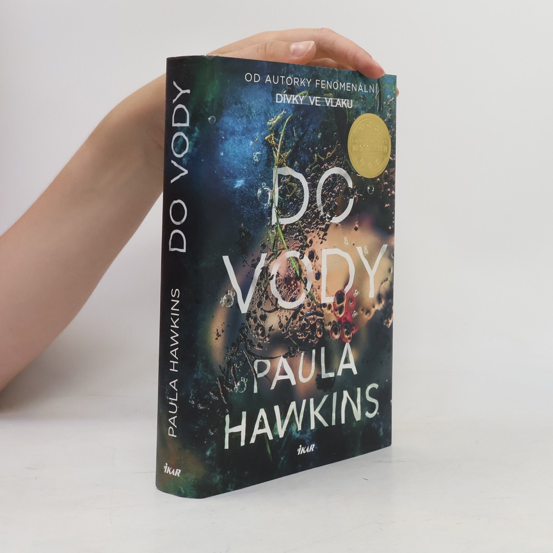 Paula Hawkinsová Do vody