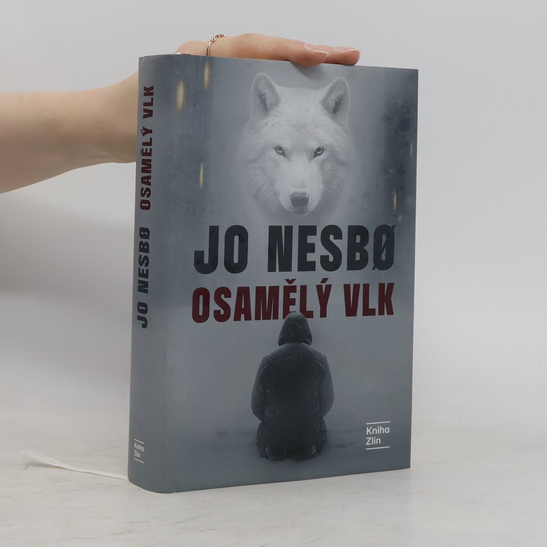 Kateřina Krištůfková Osamělý vlk