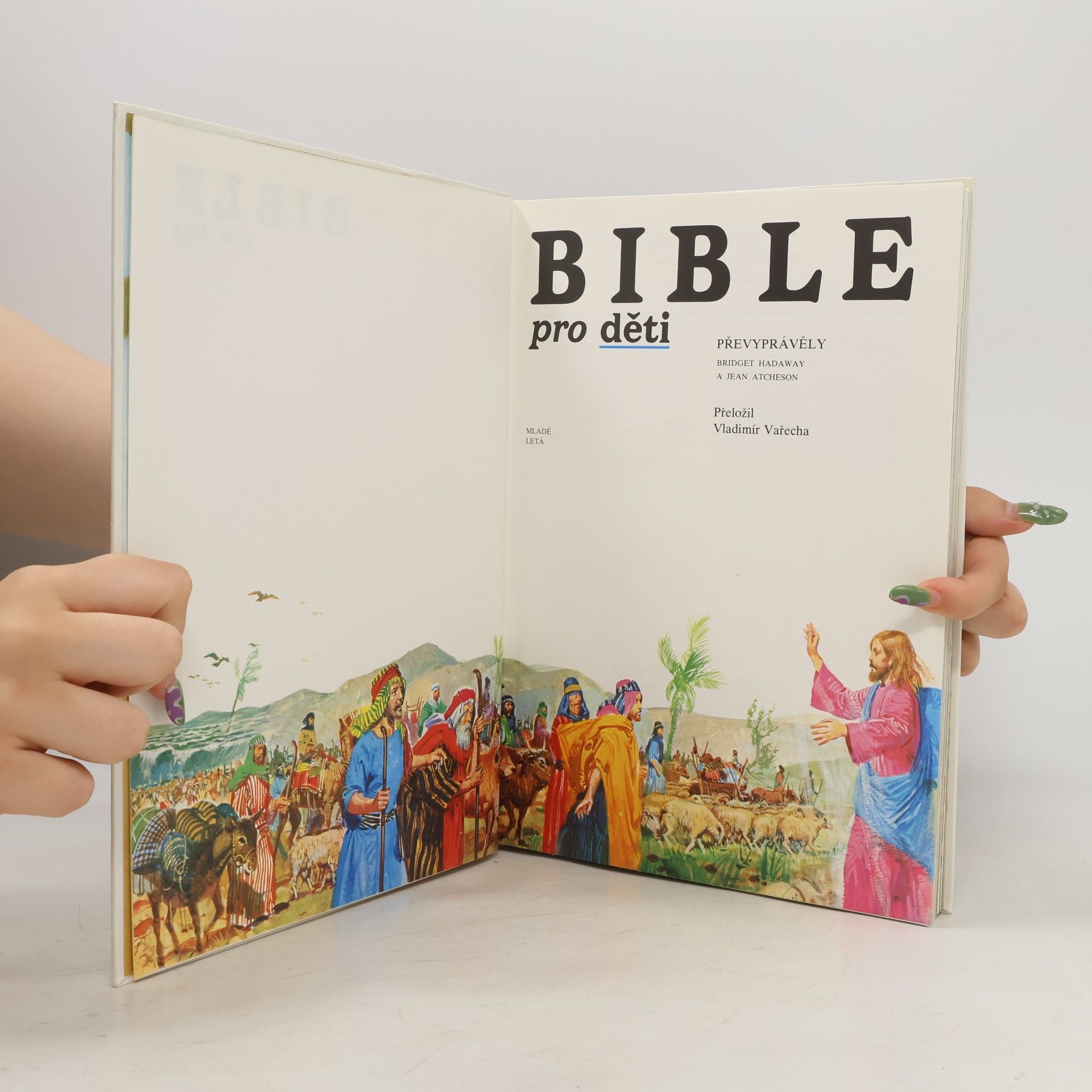 Bridget Hadaway Bible pro děti