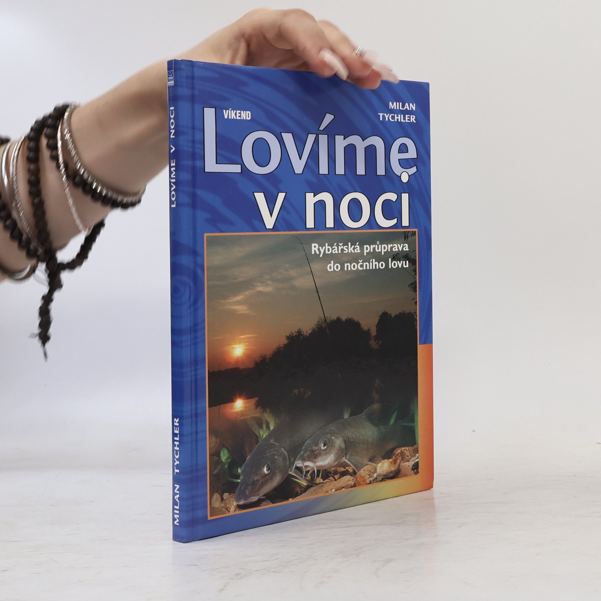 Milan Tychler Lovíme v noci