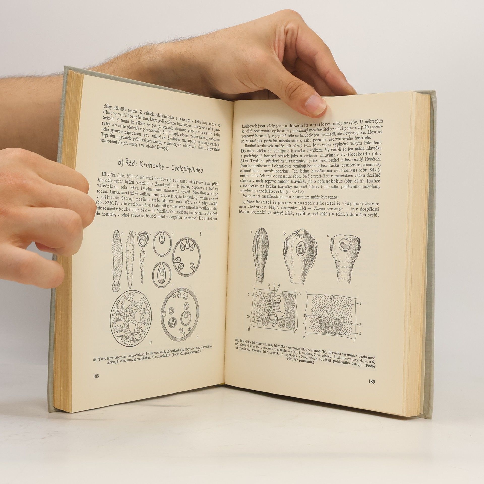 Josef Kratochvíl Použitá zoologie 1. díl – Bezobratlí