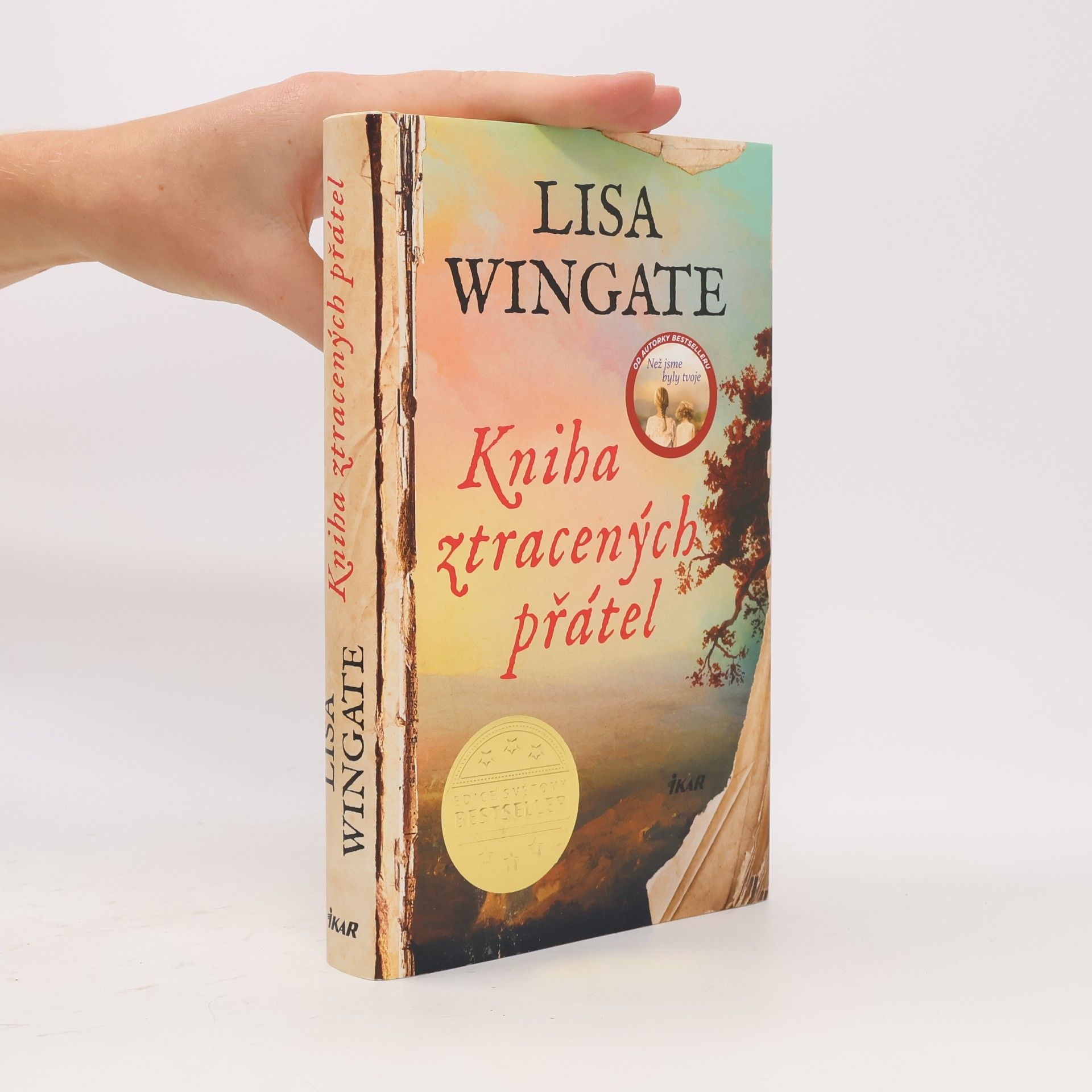 Lisa Wingate Kniha ztracených přátel