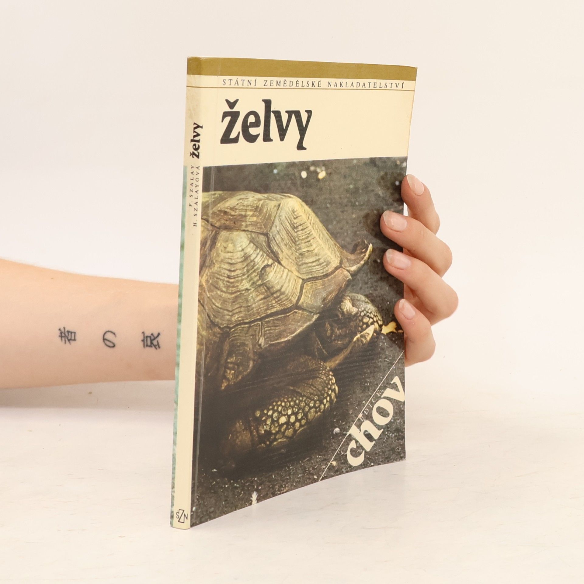 Fridrich Szalay Želvy