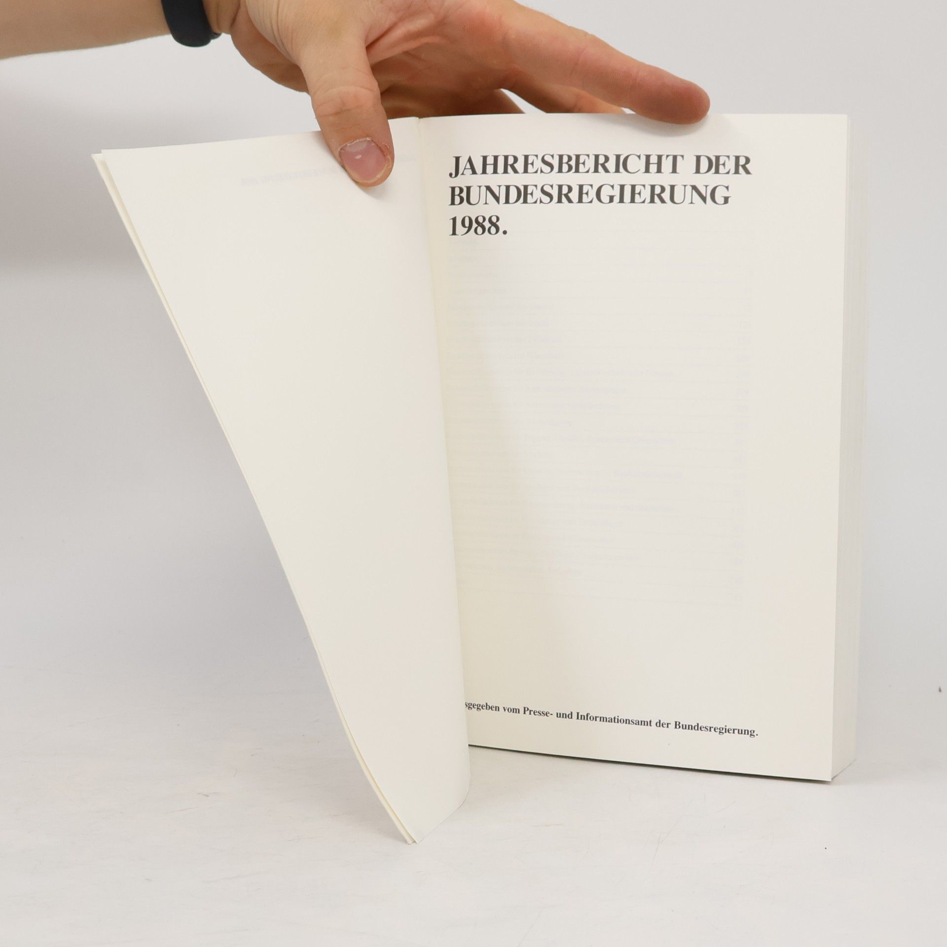 Autorenkollektiv Jahresbericht der Bundesregierung 1988