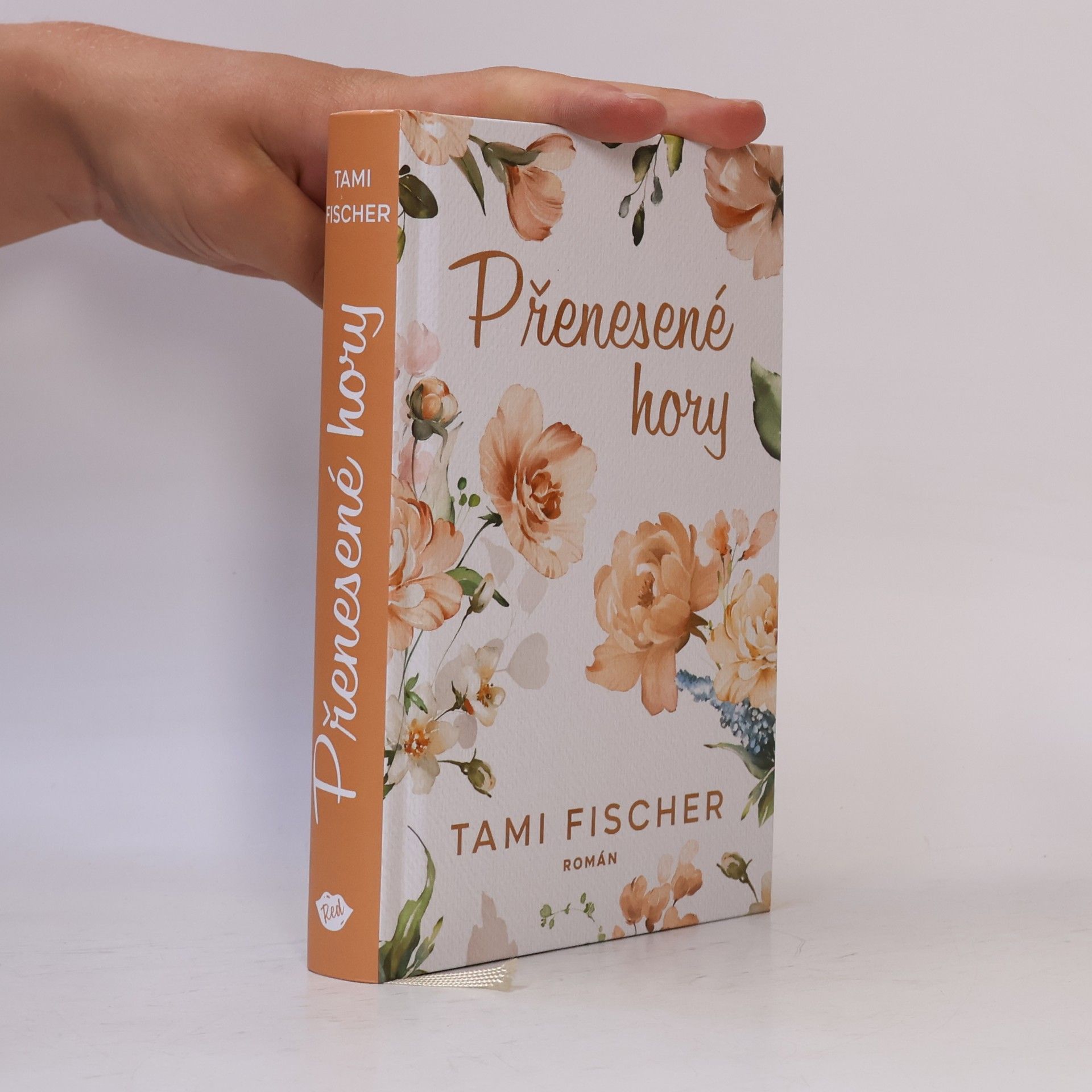 Tami Fischer Přenesené hory