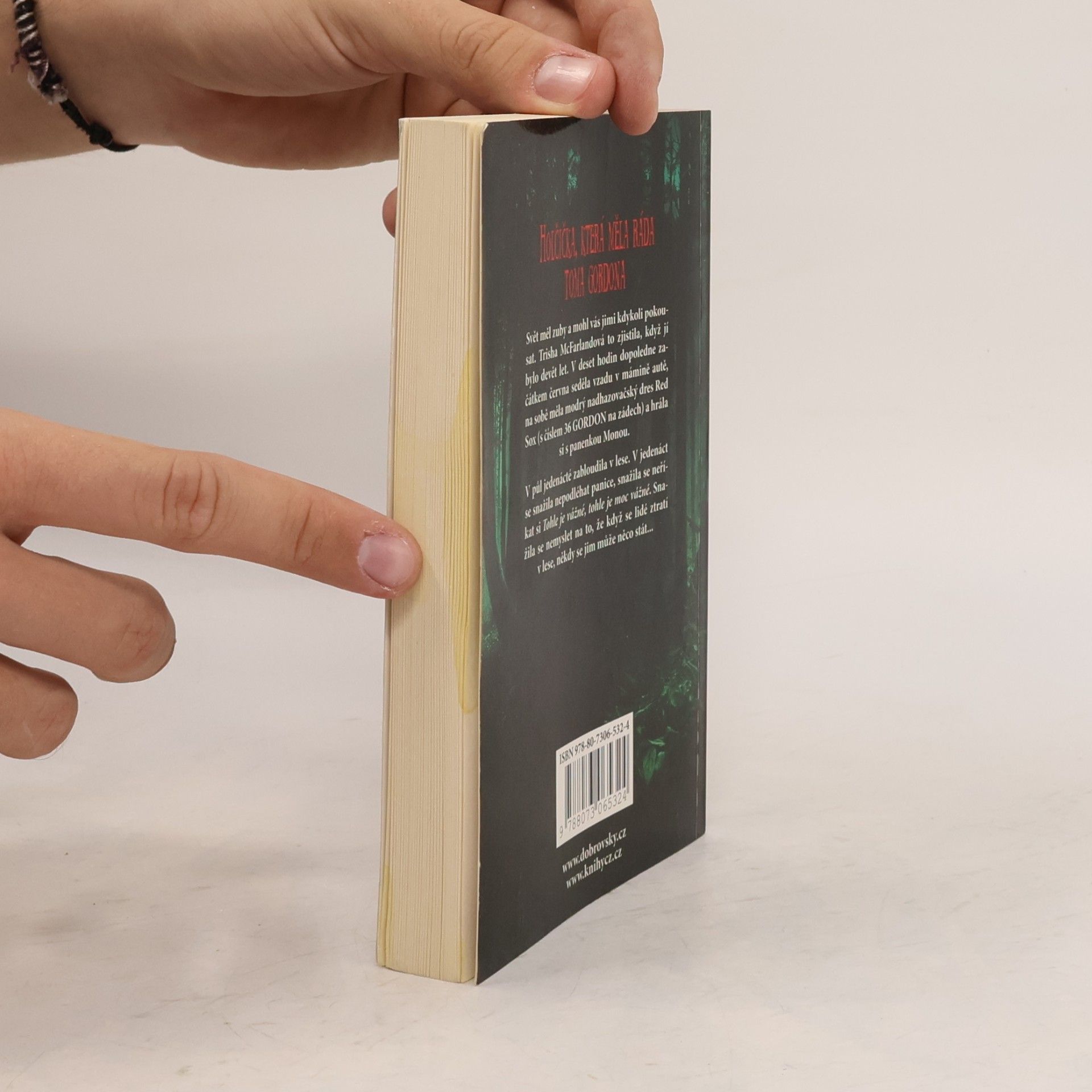 Stephen King Holčička, která měla ráda Toma Gordona