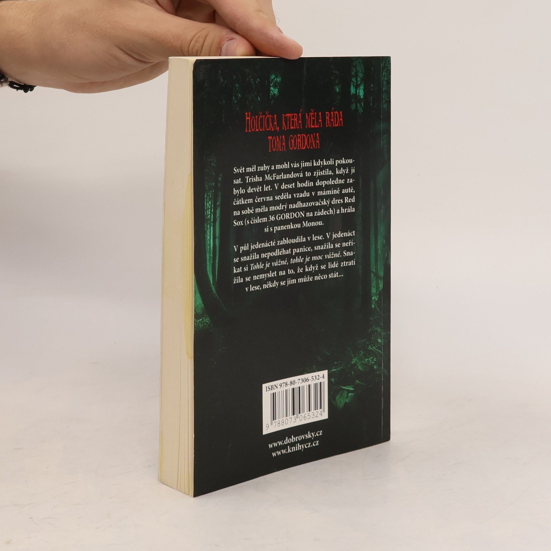 Stephen King Holčička, která měla ráda Toma Gordona