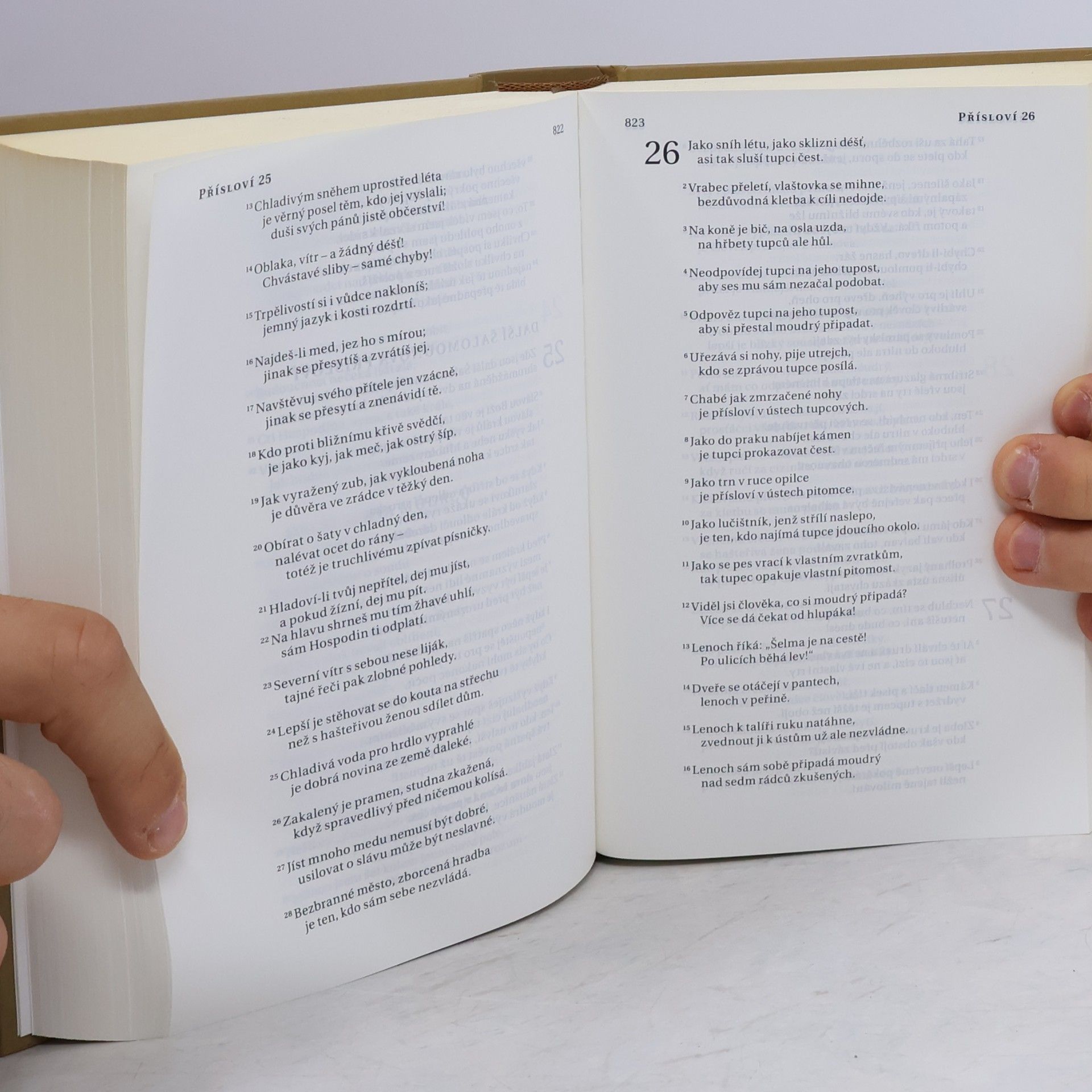Autorenkollektiv Bible. Překlad 21. století