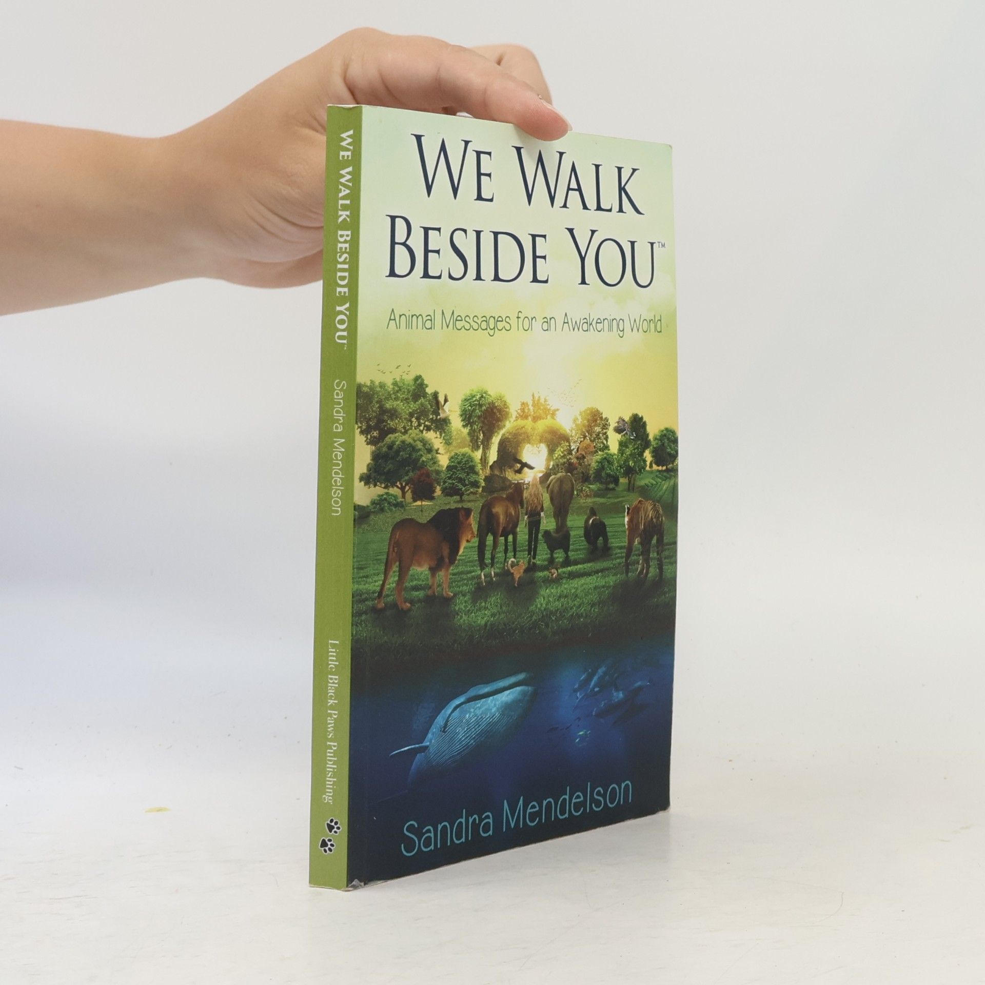 Sandra Mendelson We Walk Beside You