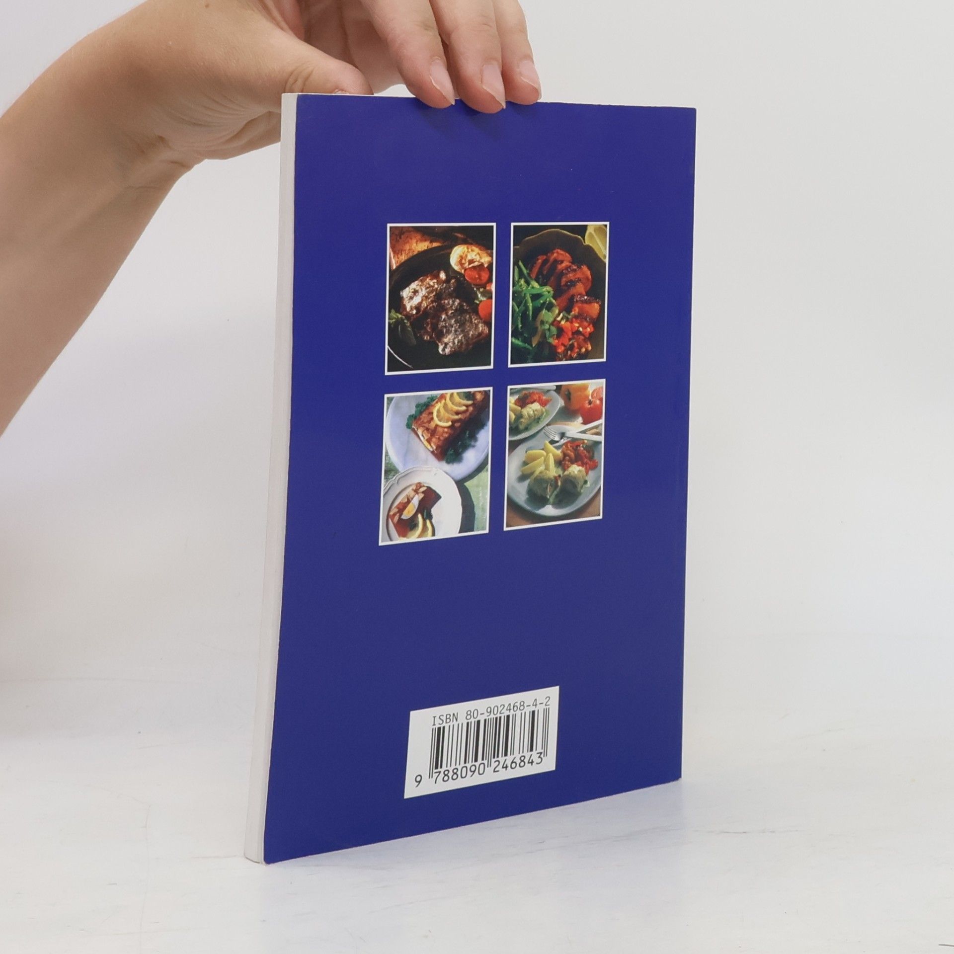 Václav Budinský Nová kuchařka, aneb, 365 chutných, zdravých a levných jídel