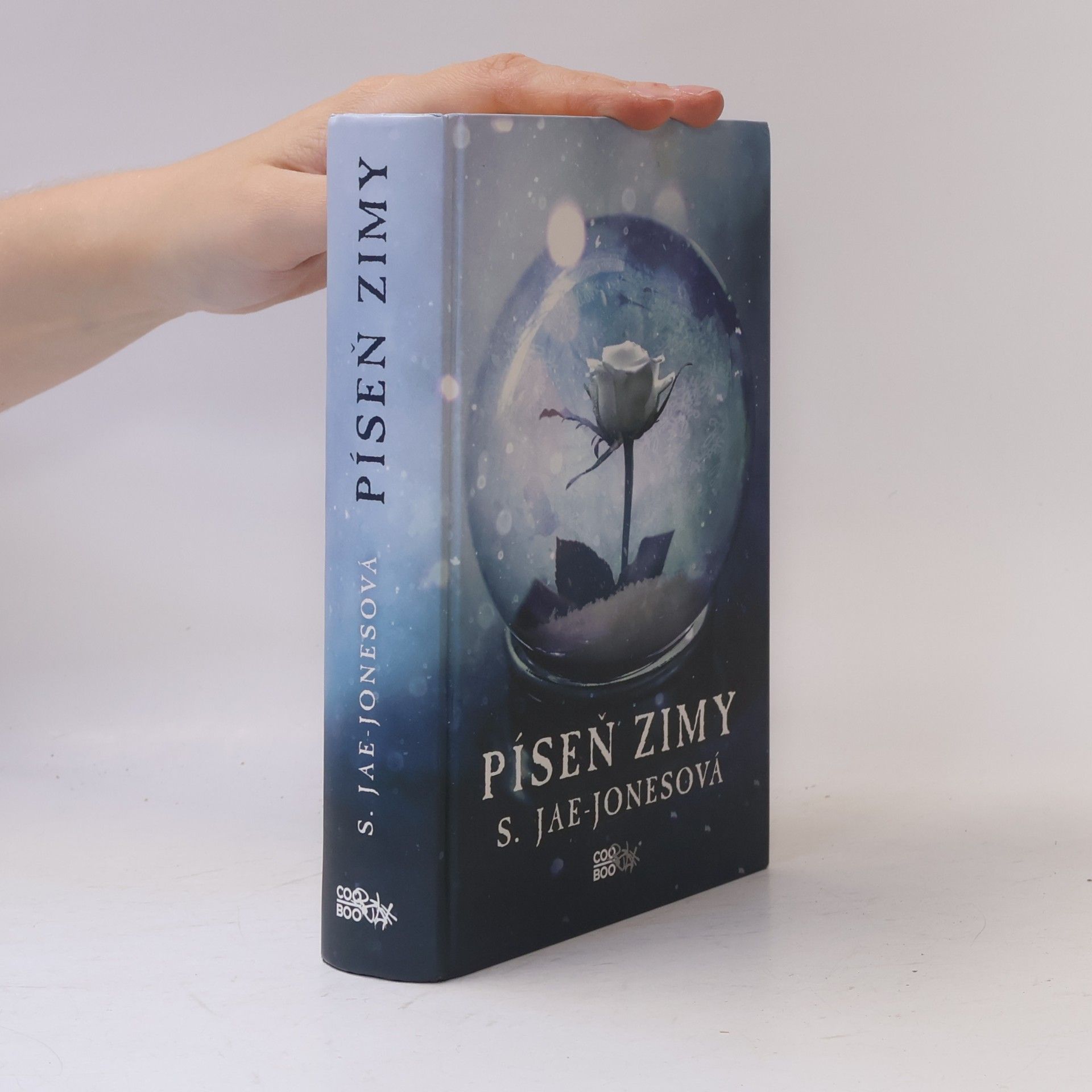 S. Jae-Jones Píseň zimy