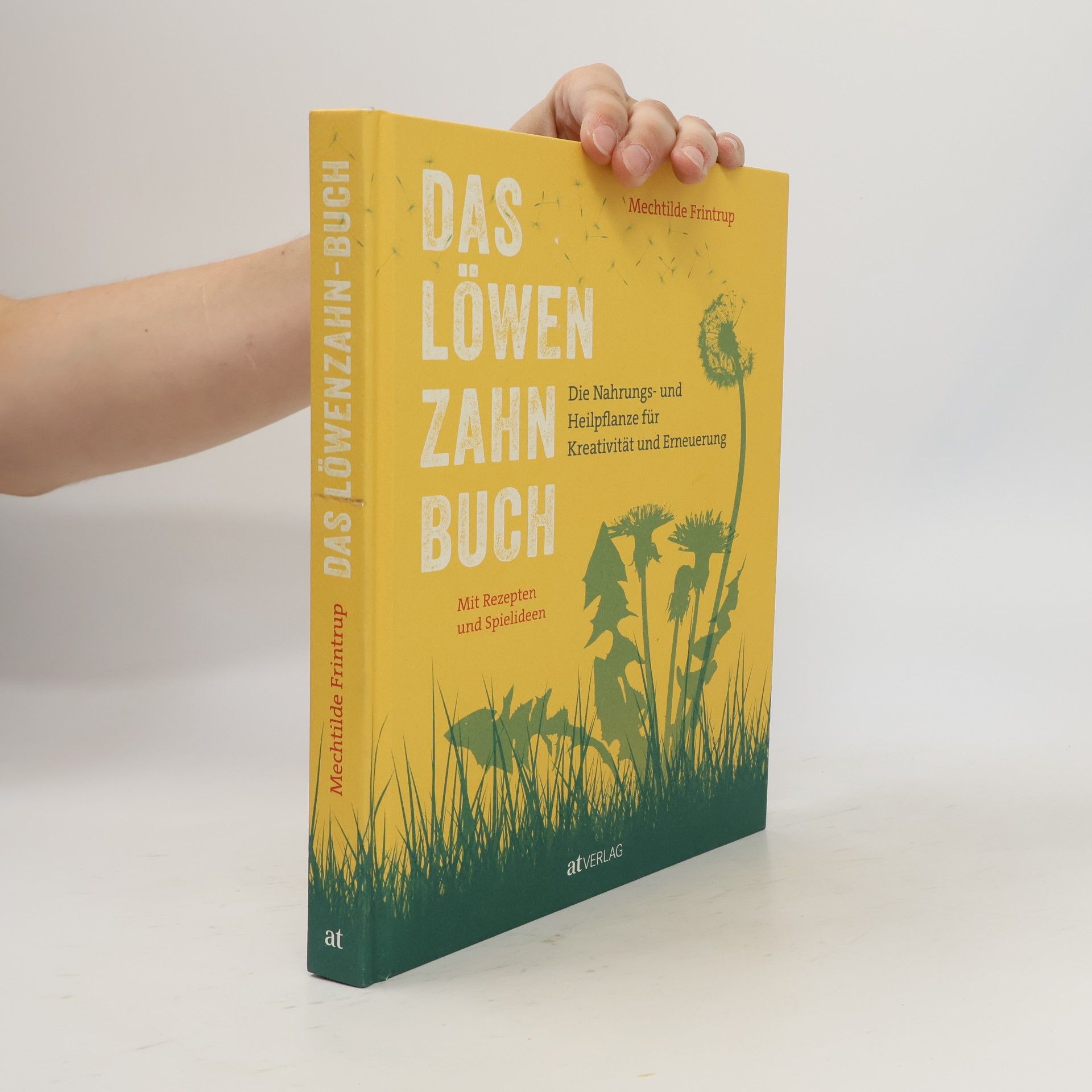 Mechtilde Frintrup Das Löwenzahnbuch