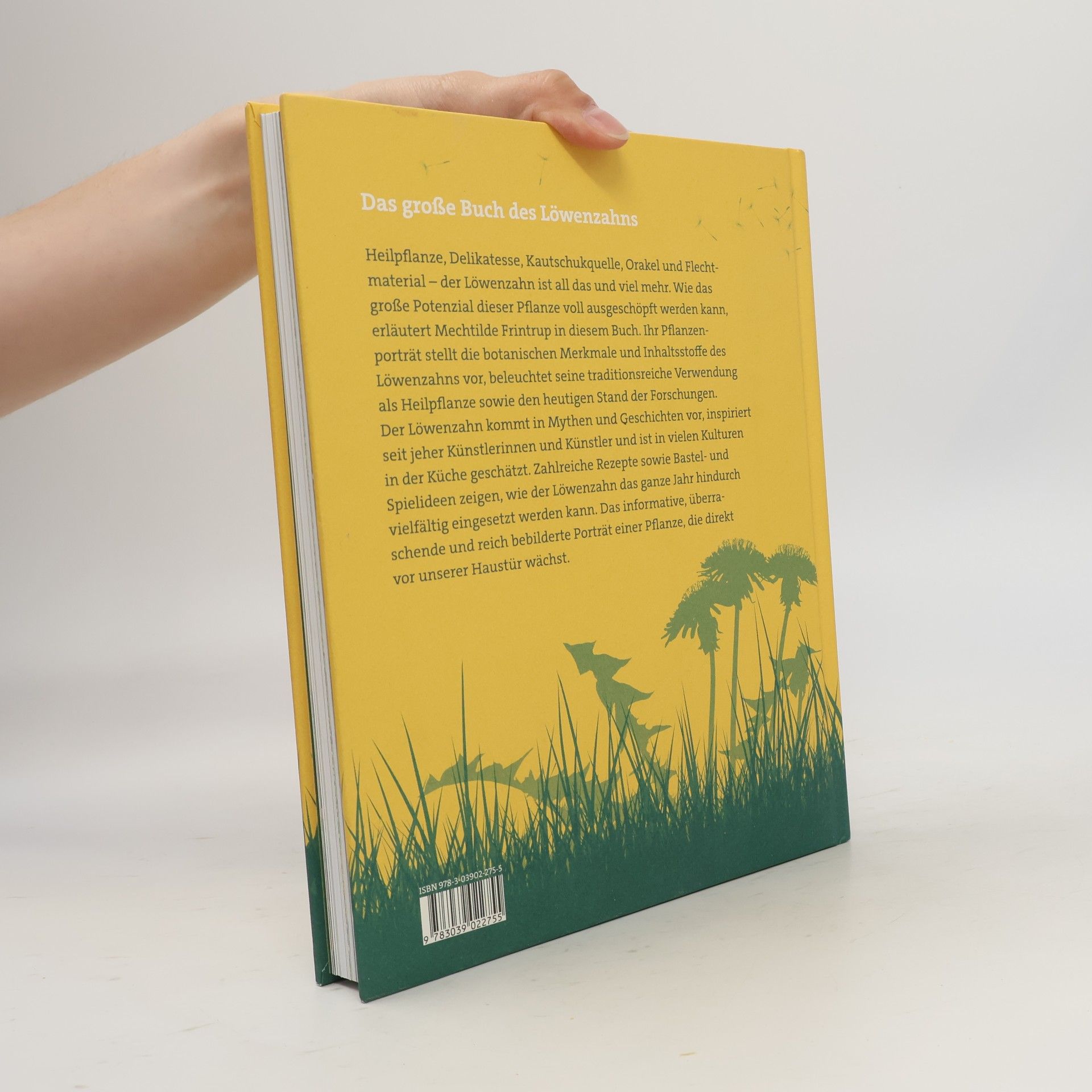 Mechtilde Frintrup Das Löwenzahnbuch