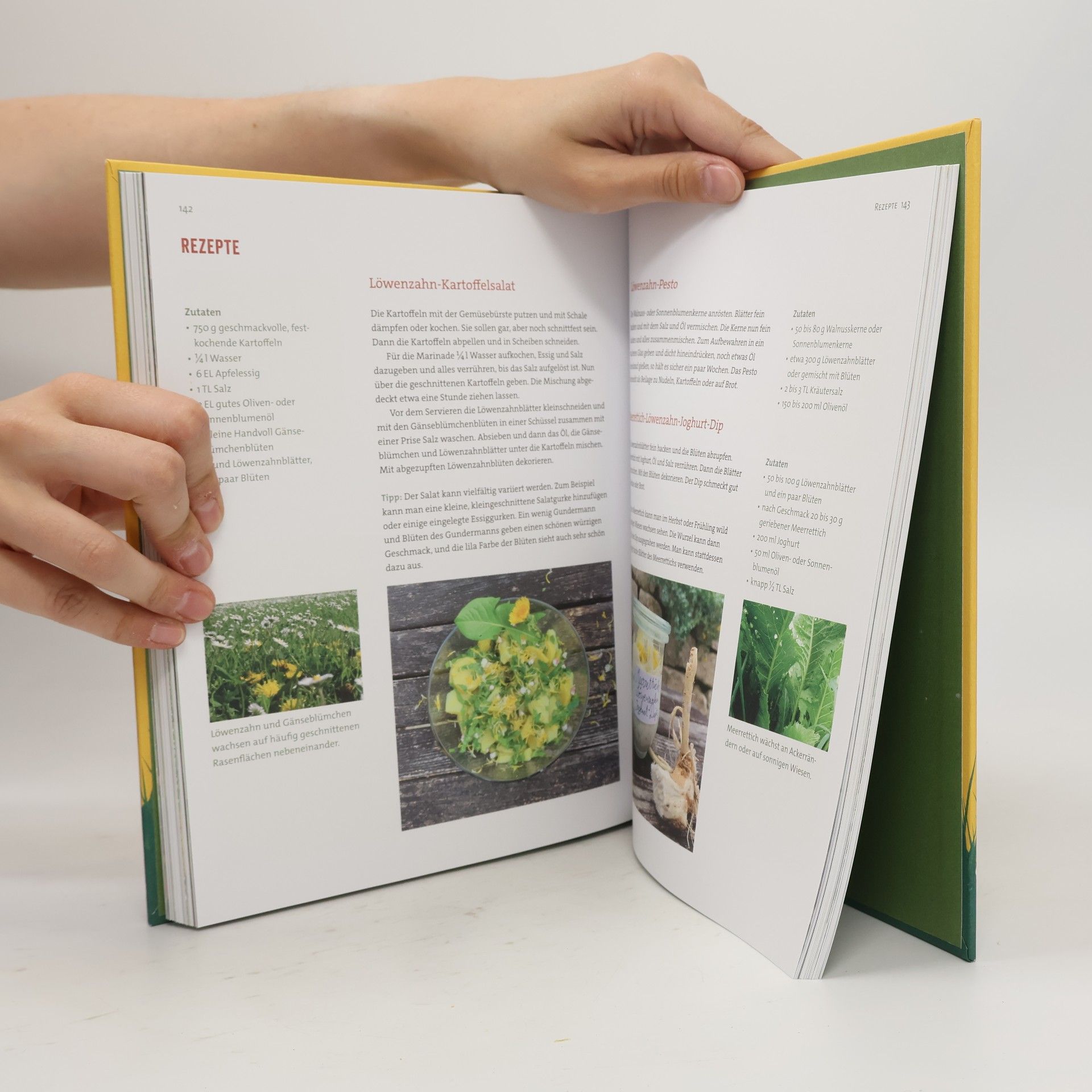 Mechtilde Frintrup Das Löwenzahnbuch