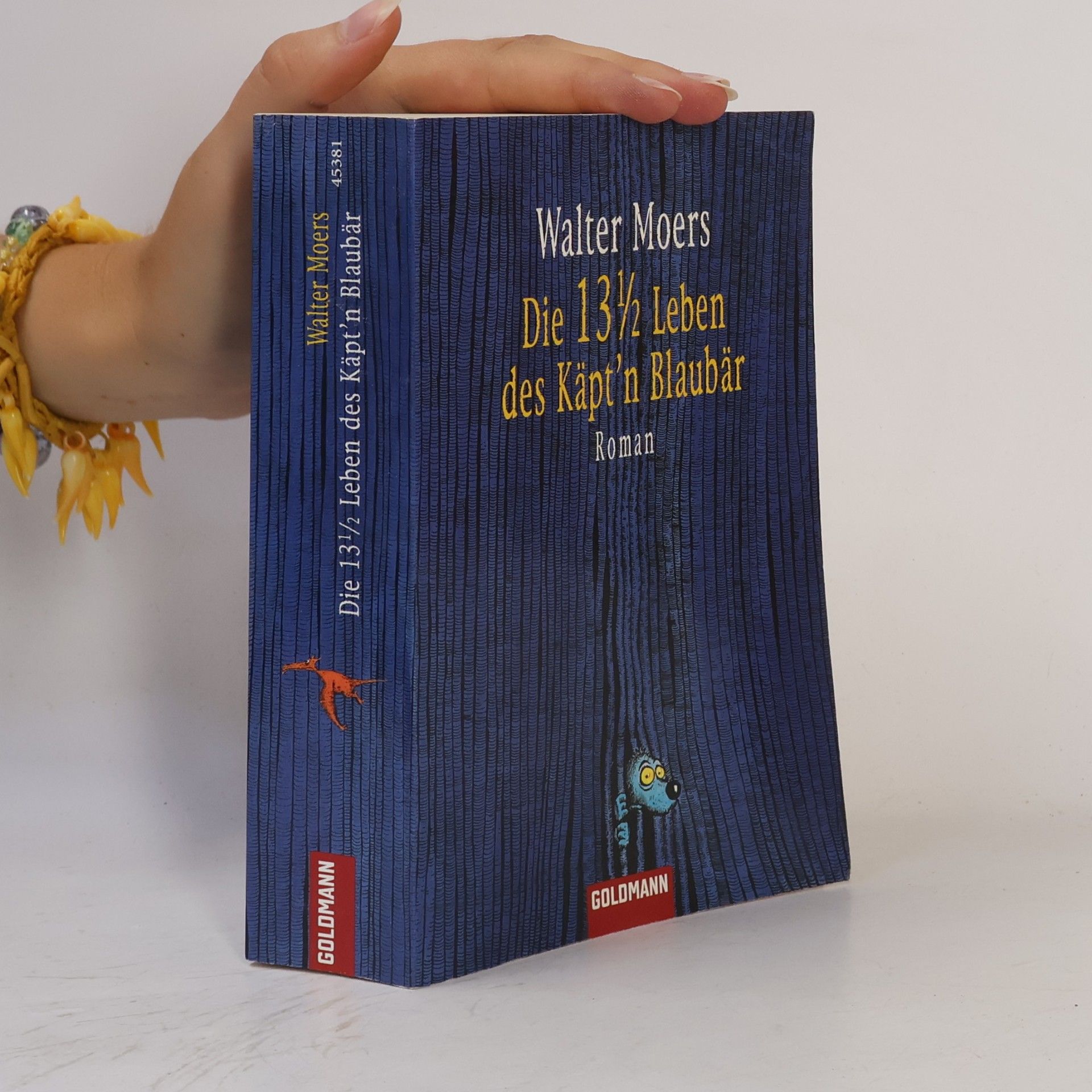 Walter Moers Die 13 1/2 Leben des Käpt'n Blaubär