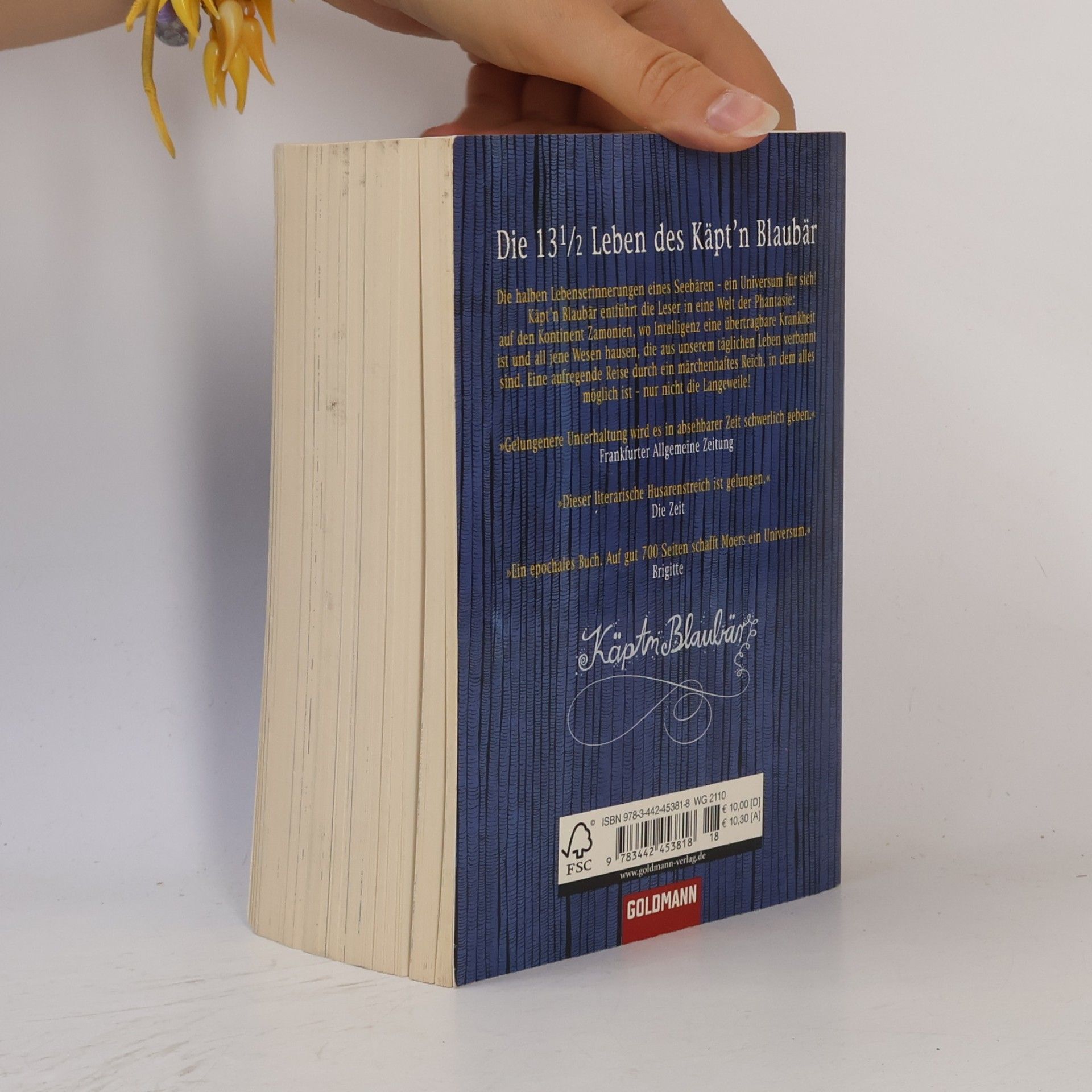 Walter Moers Die 13 1/2 Leben des Käpt'n Blaubär