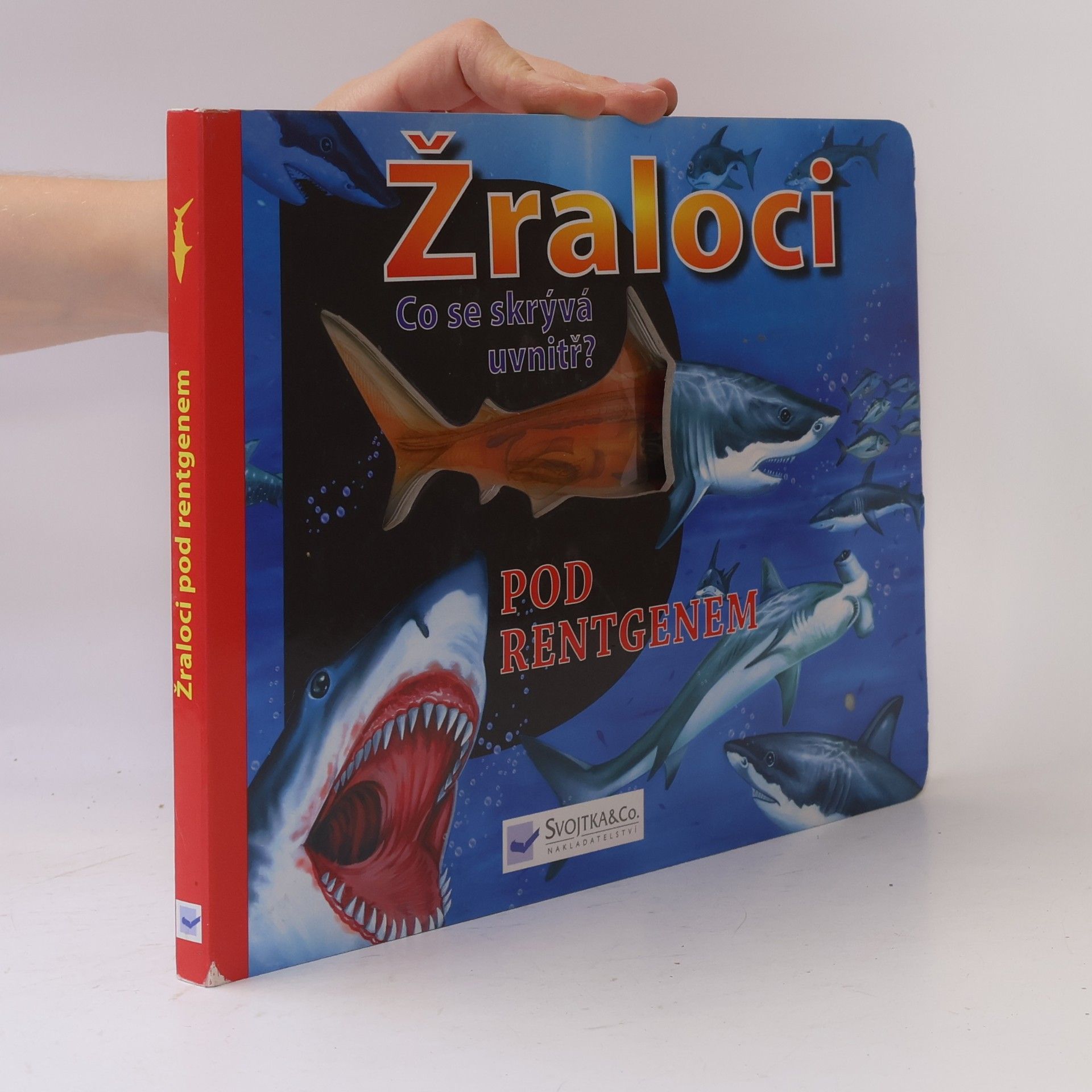 Jaroslav Kučera Žraloci pod rentgenem : co se skrývá uvnitř?