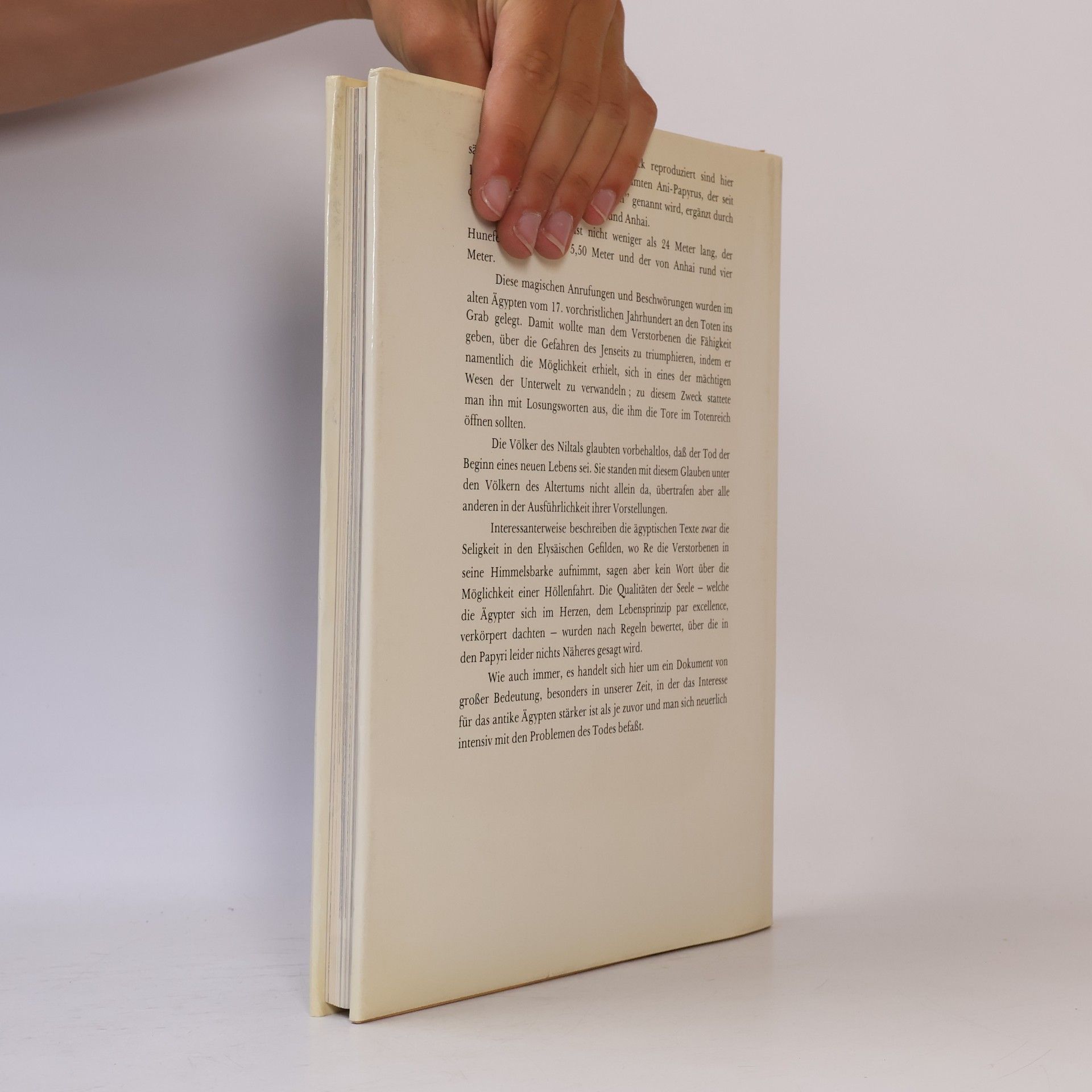 Autorenkollektiv Die Ägyptischen Totenbücher