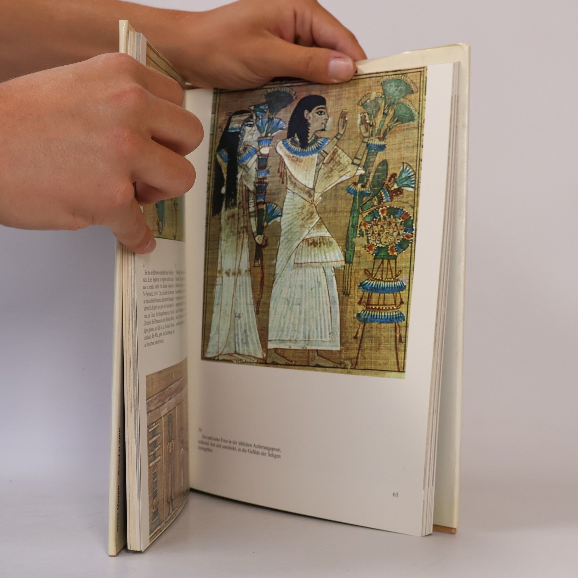 Autorenkollektiv Die Ägyptischen Totenbücher