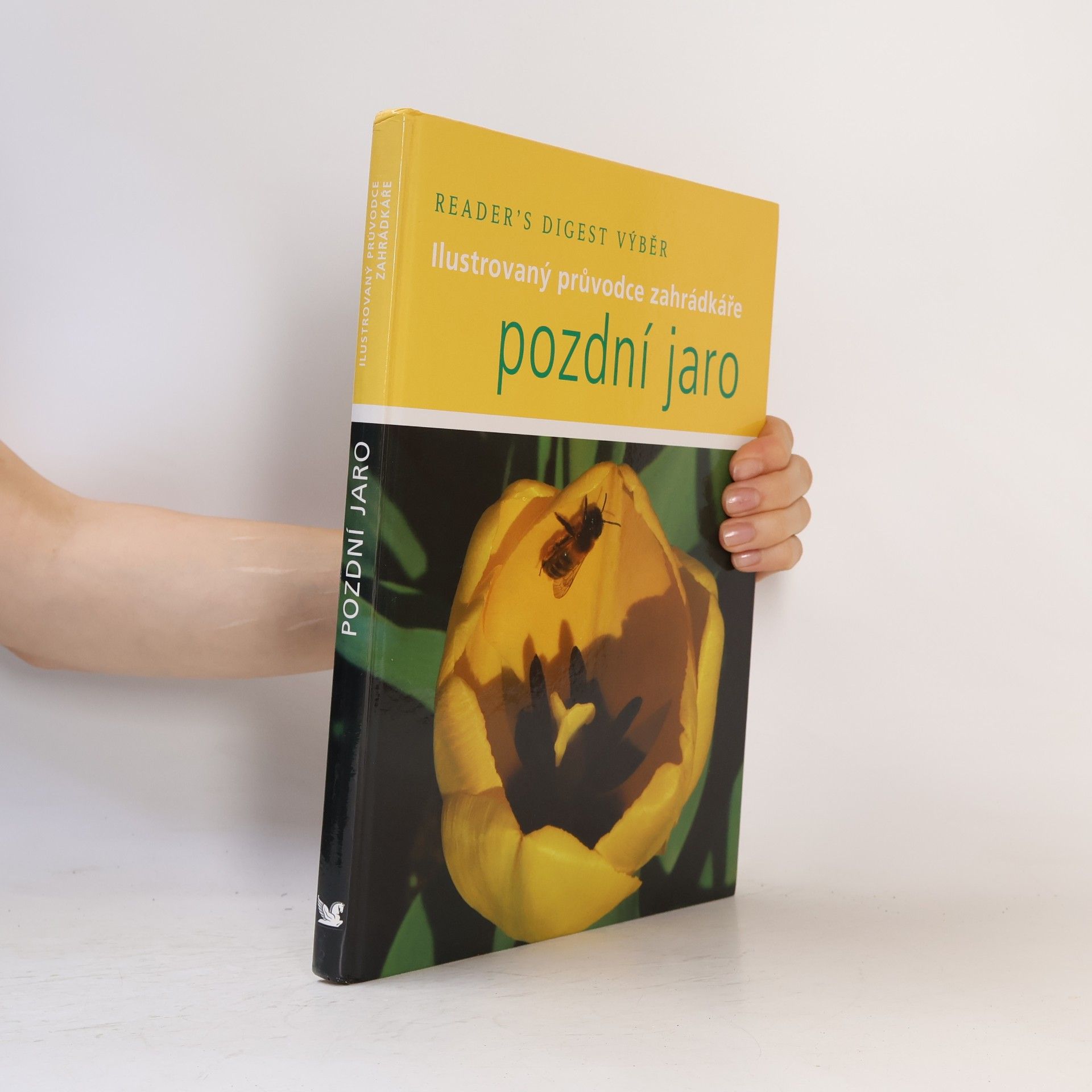 Steve Bradley Pozdní jaro