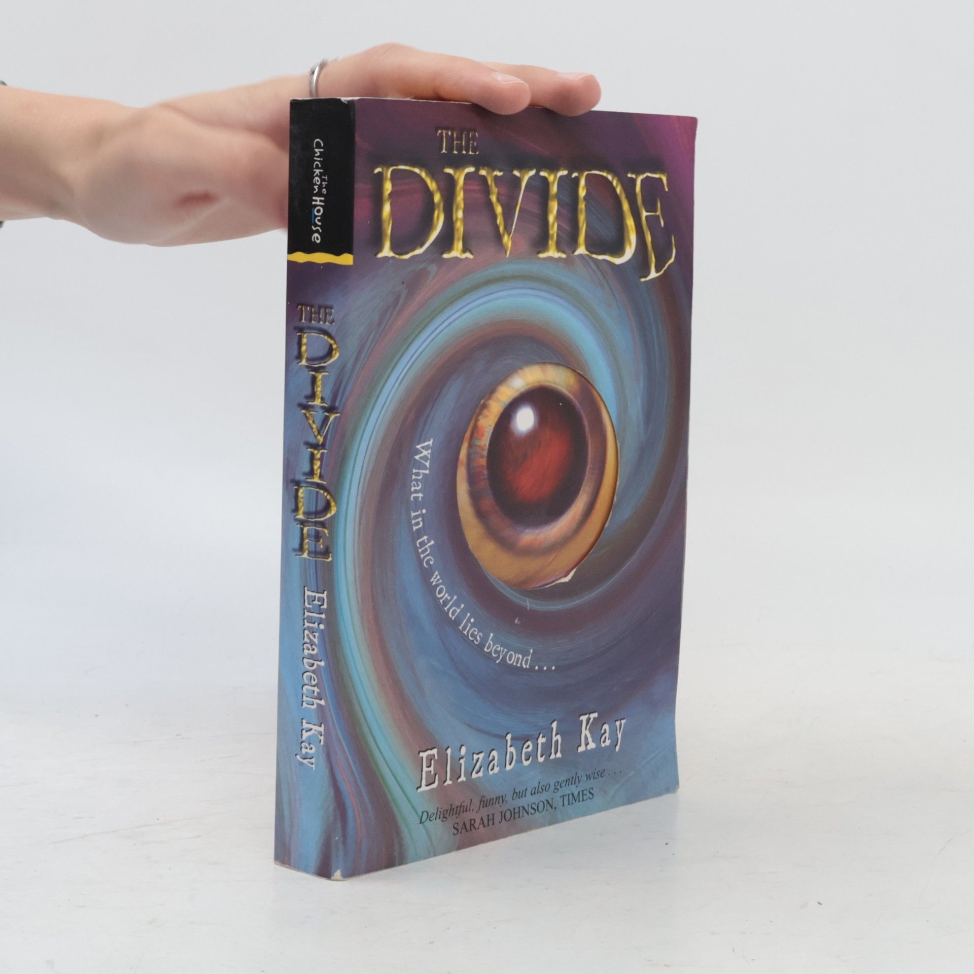Elizabeth Kay The Divide