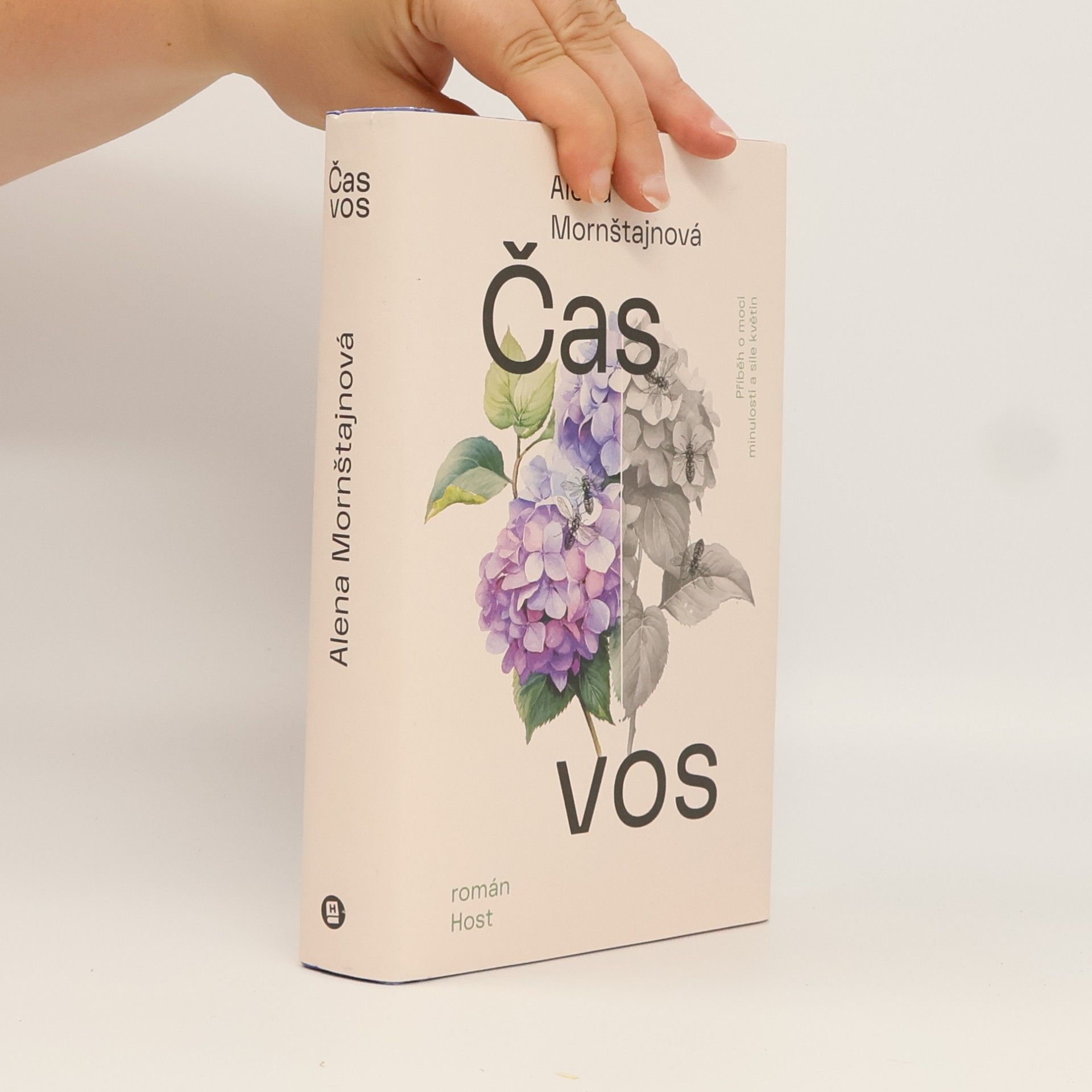 Alena Mornštajnová Čas vos