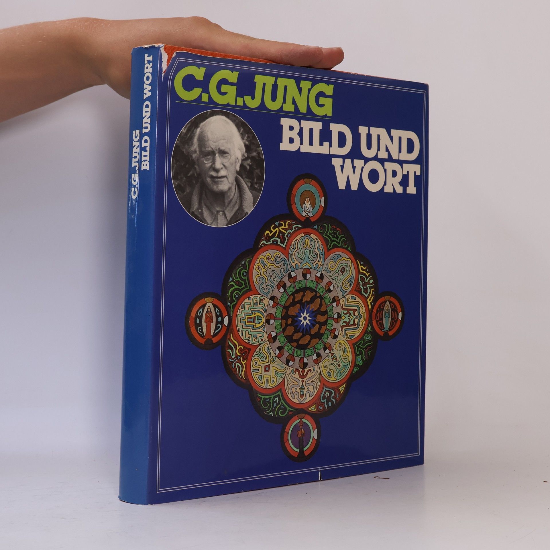 Carl Gustav Jung Bild und Wort