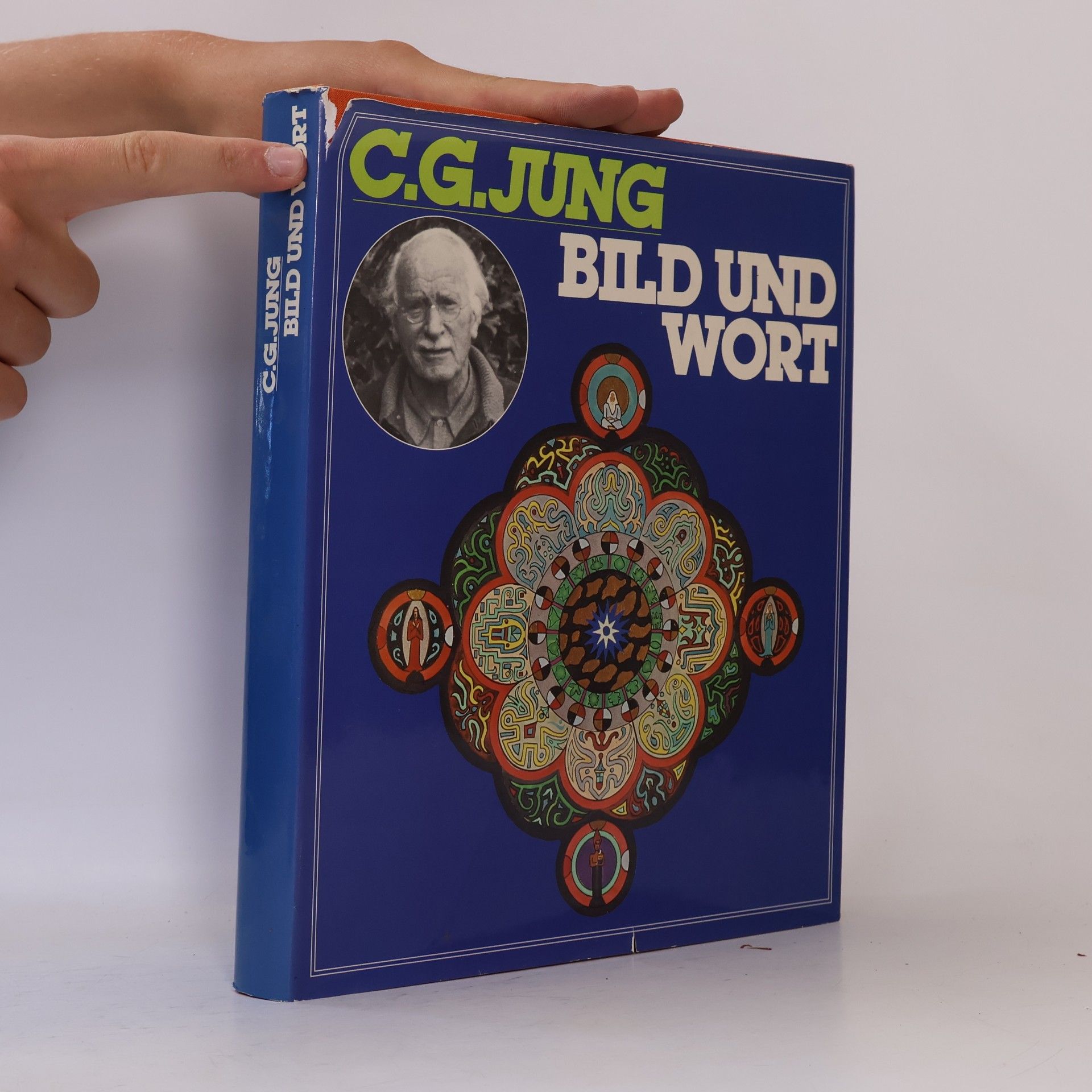 Carl Gustav Jung Bild und Wort