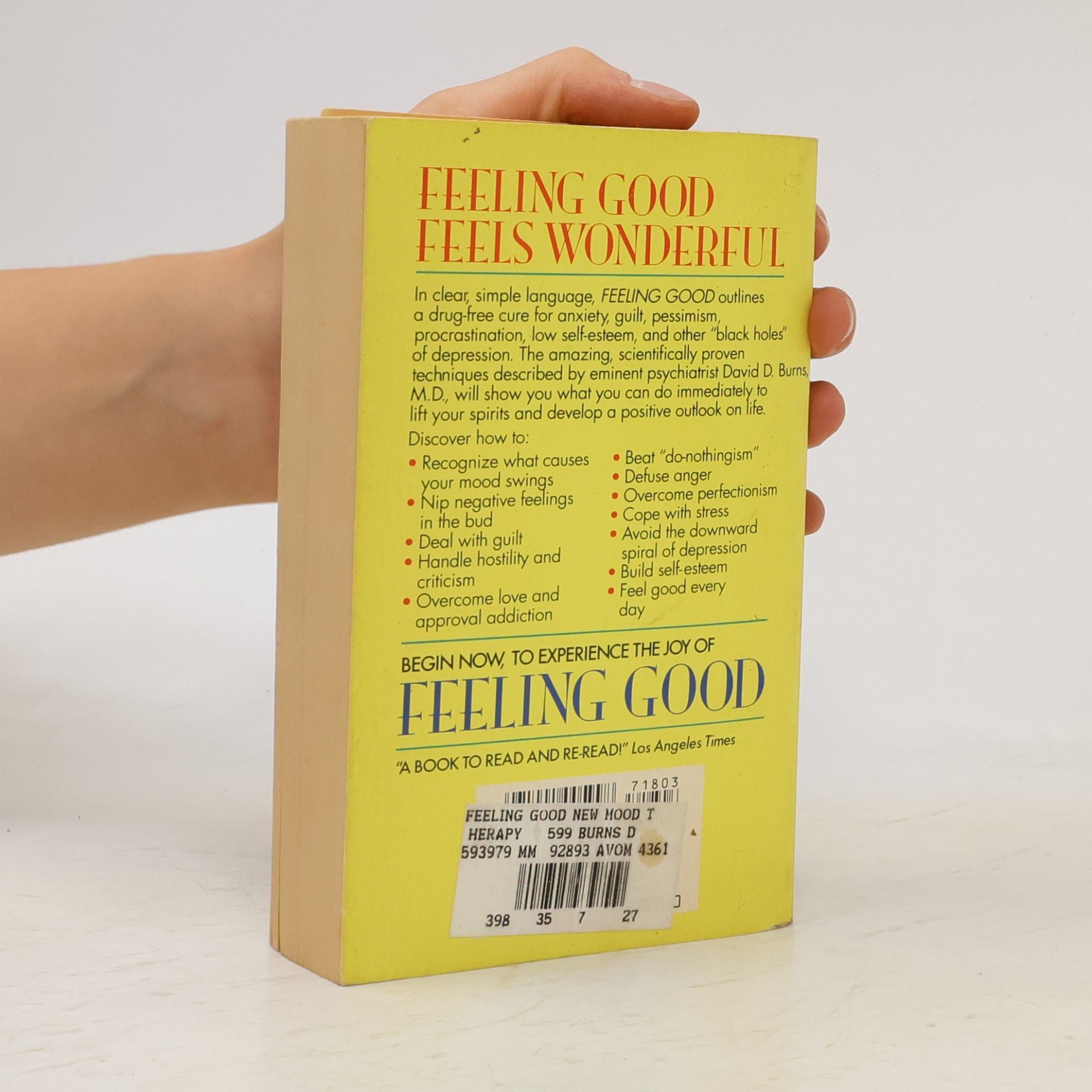 David D. Burns Feeling Good