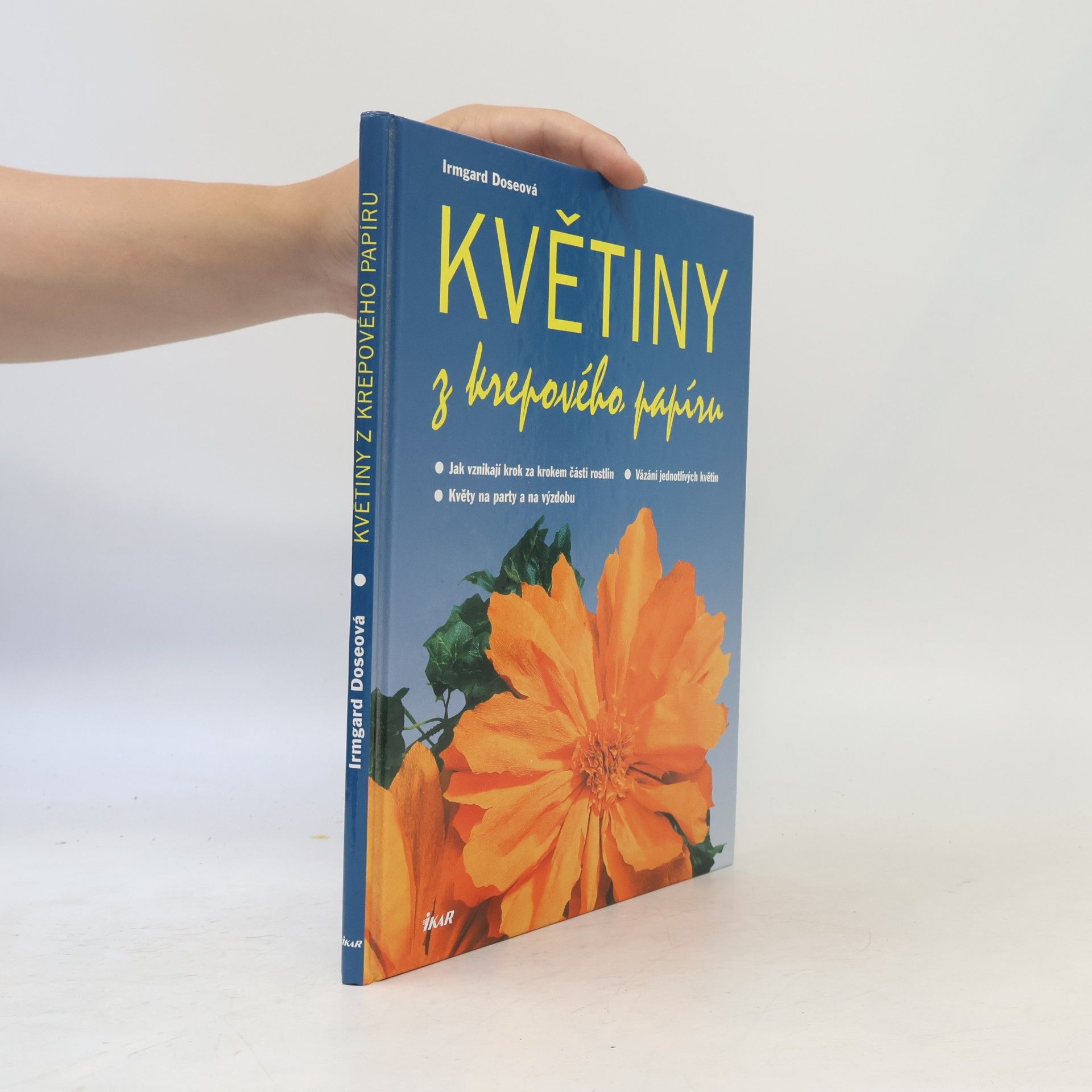 Irmgard Dose Květiny z krepového papíru