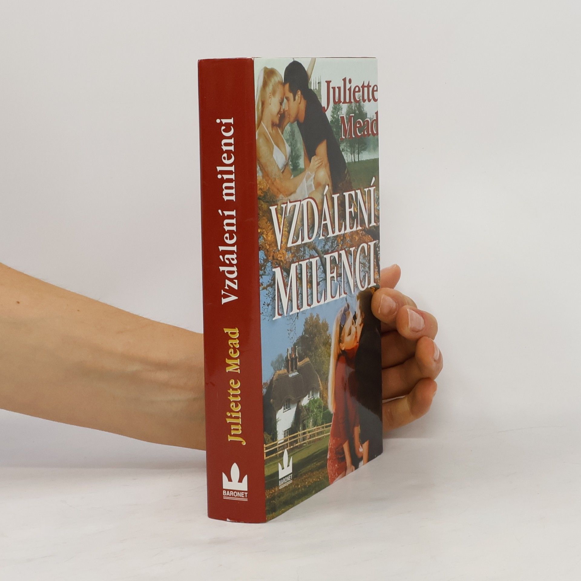 Juliette Mead Vzdálení milenci
